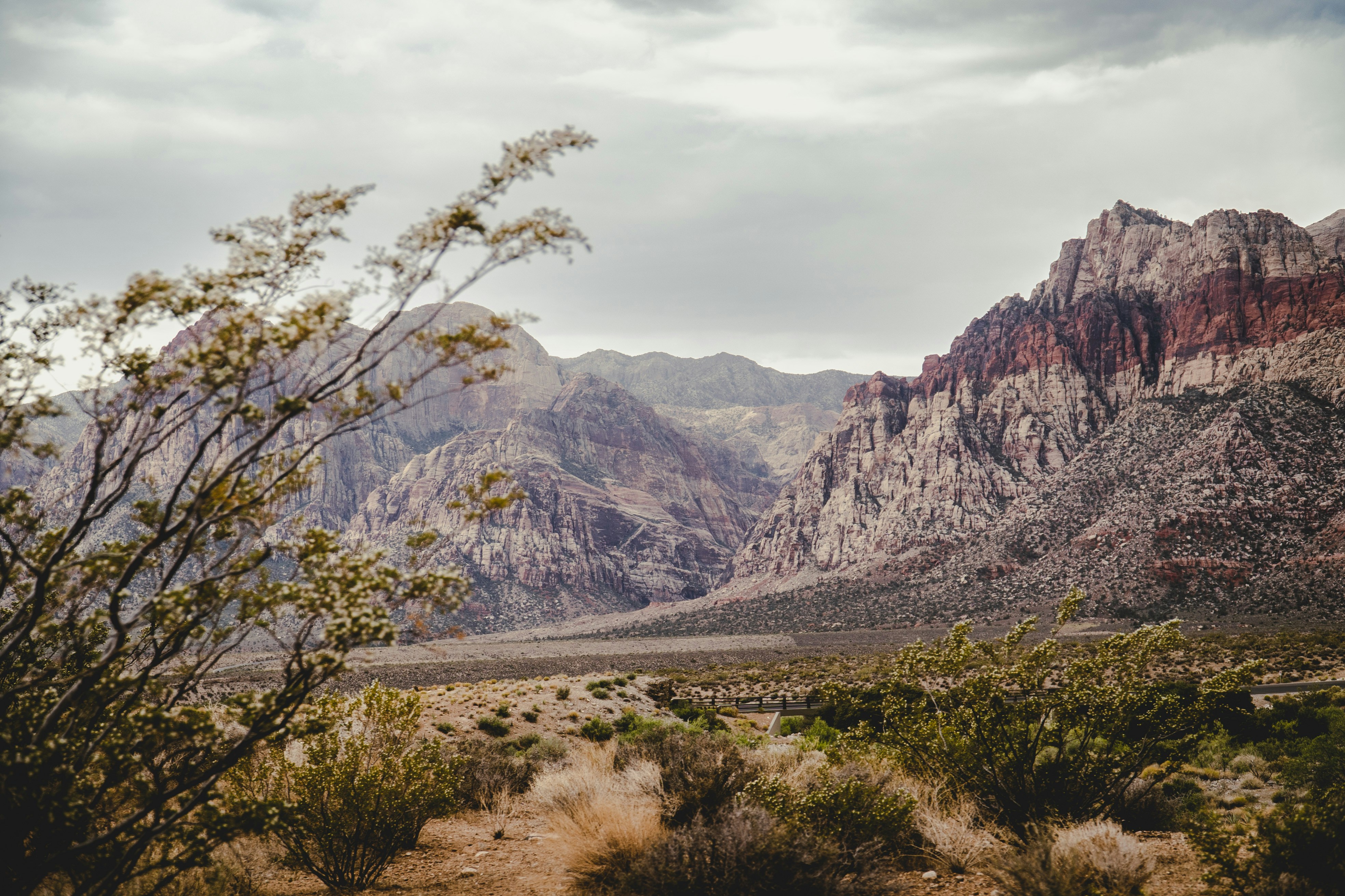 Photo by leob_photography