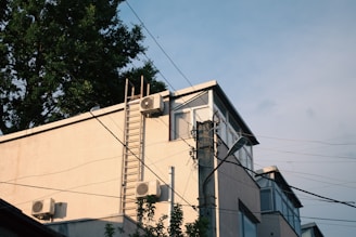 a house with a ladder on the side of it