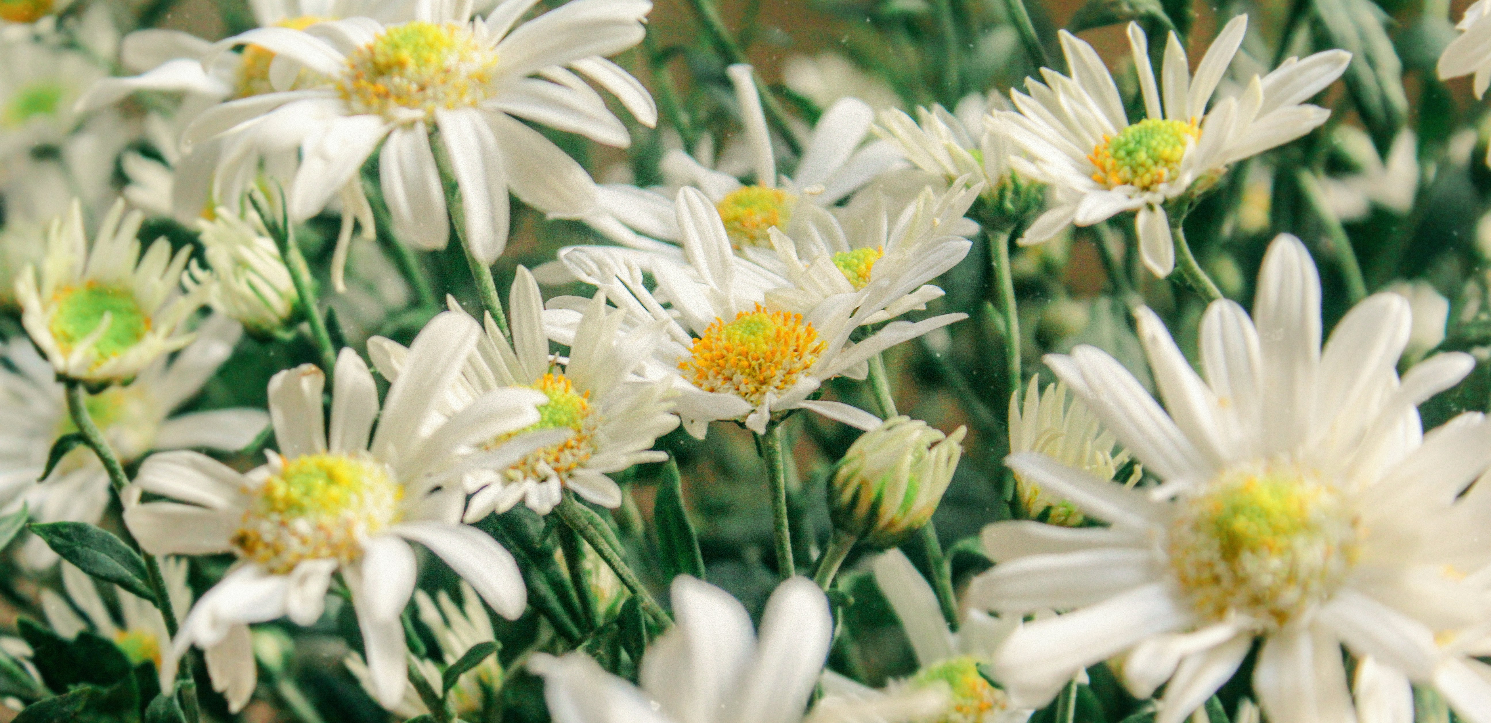 Photo by nocoffeetoday