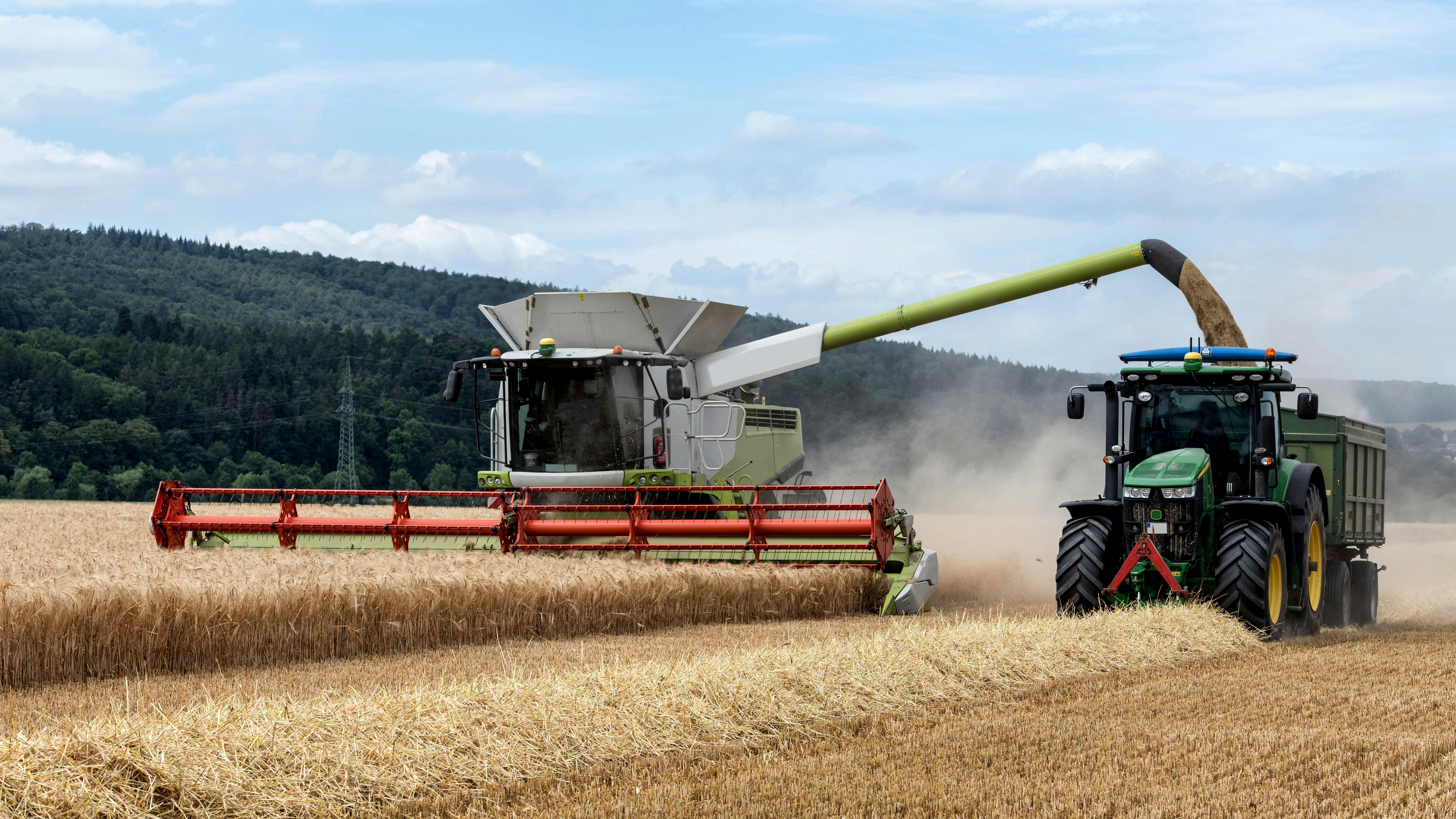 Photo by hamburgmeinefreundin