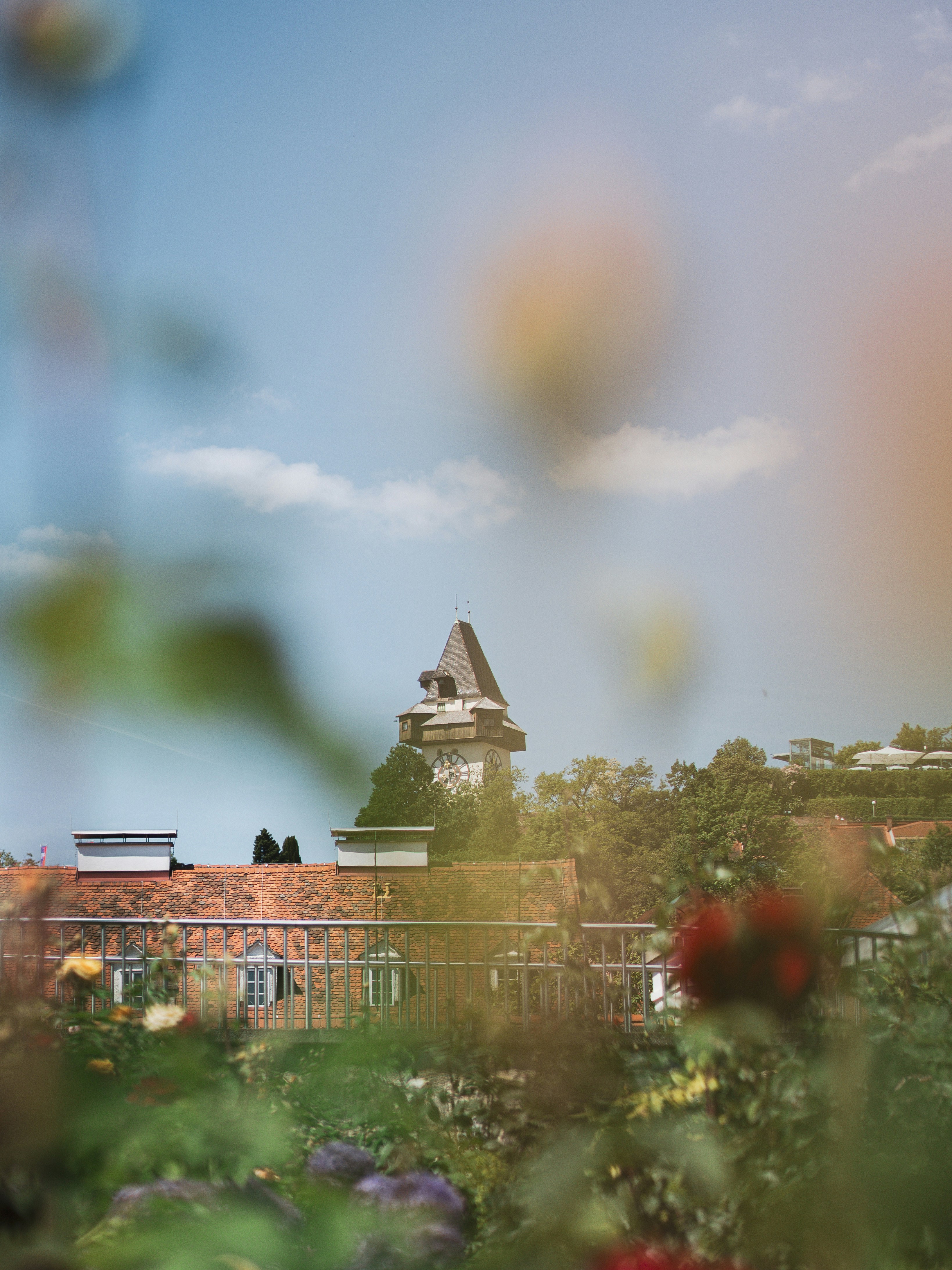 Photo by anna_c_wilhelm