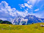 a grassy field with mountains in the background