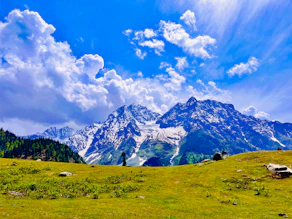 a grassy field with mountains in the background