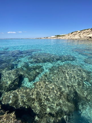 the water is crystal clear and blue