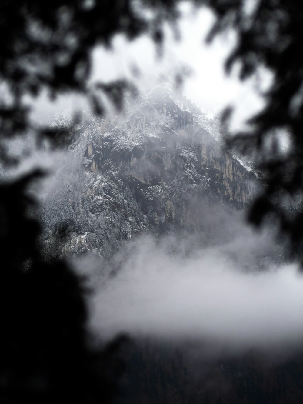 a view of a mountain through the branches of a tree