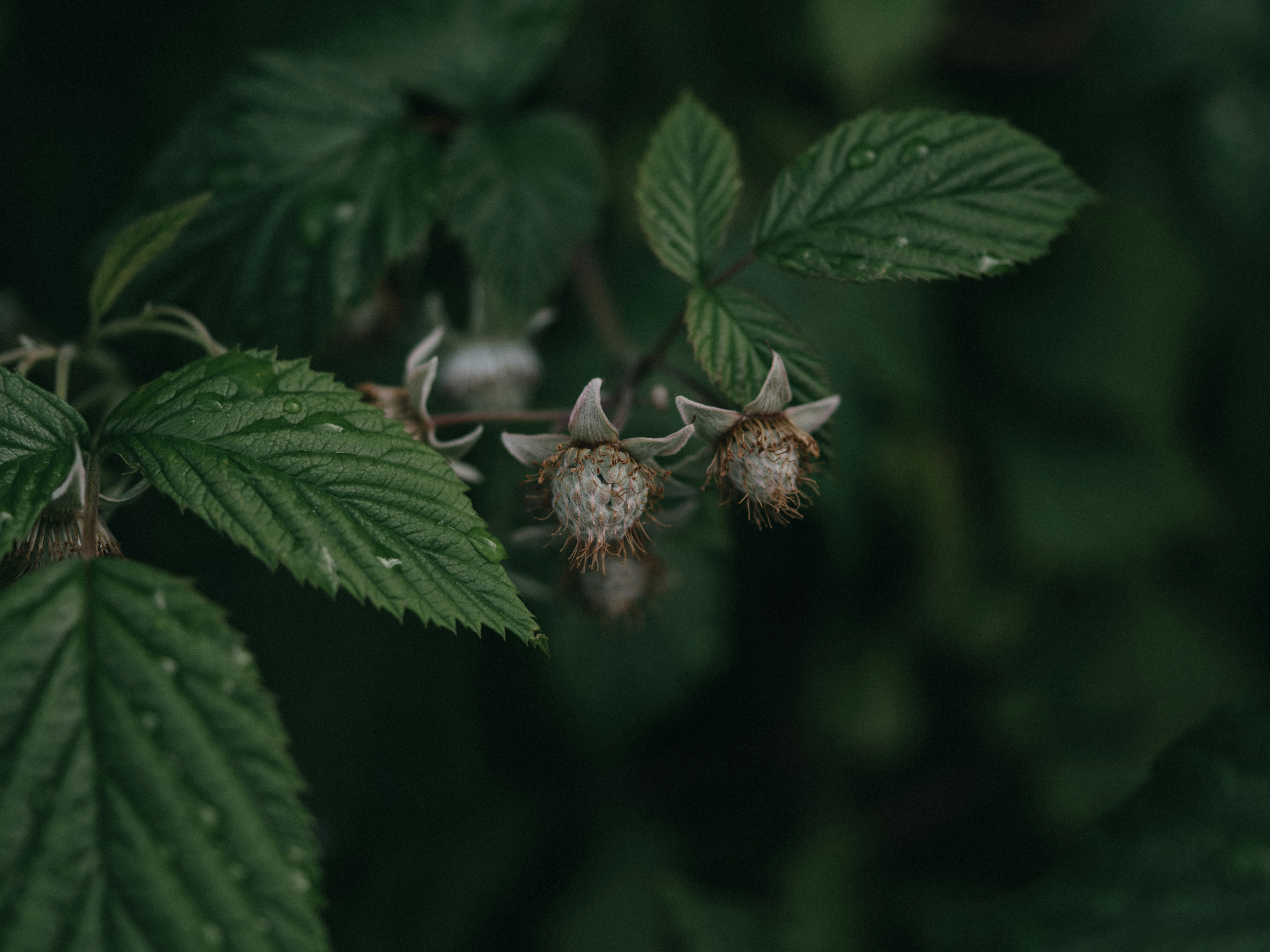 Photo by anniespratt