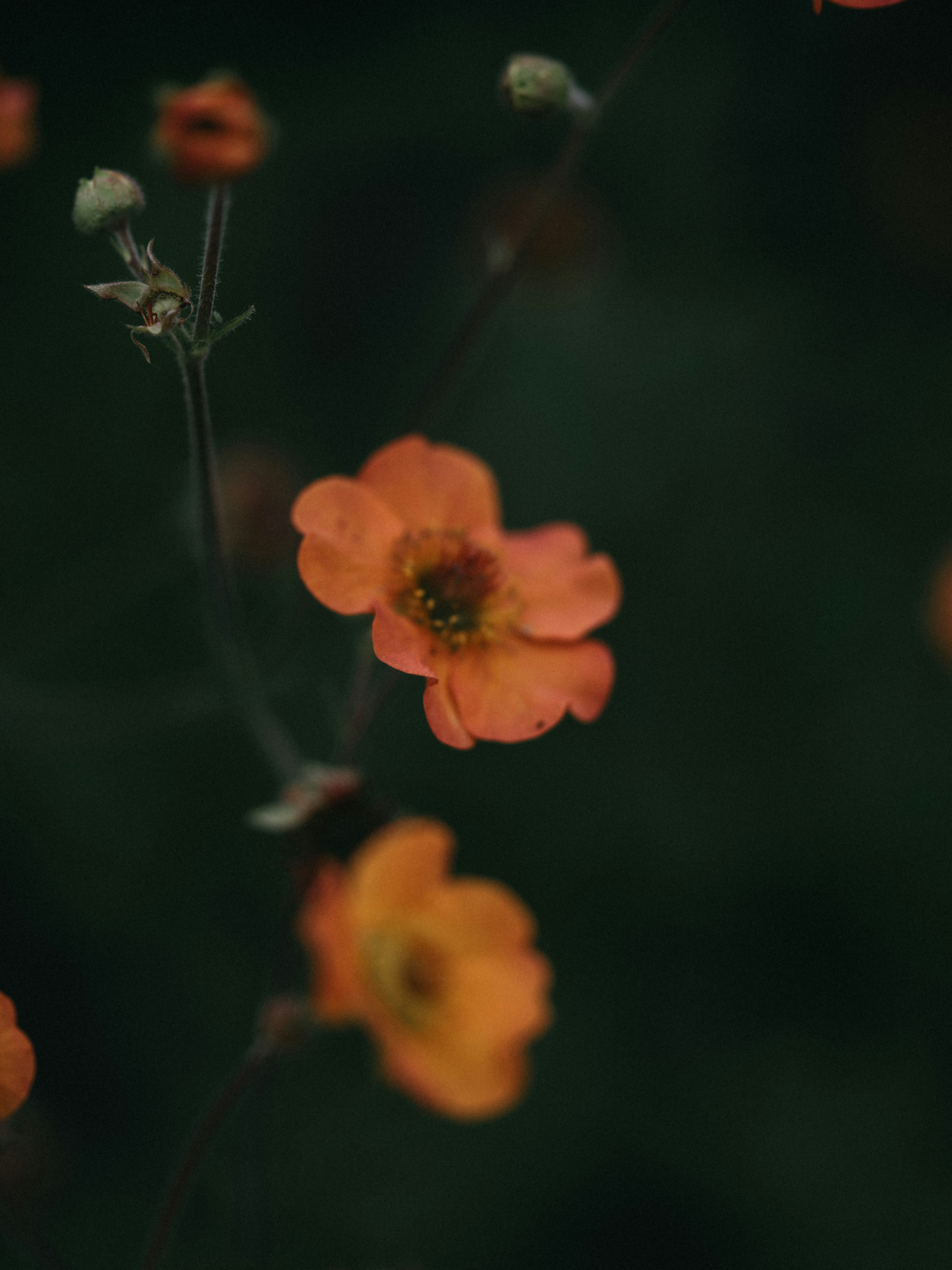 Photo by anniespratt