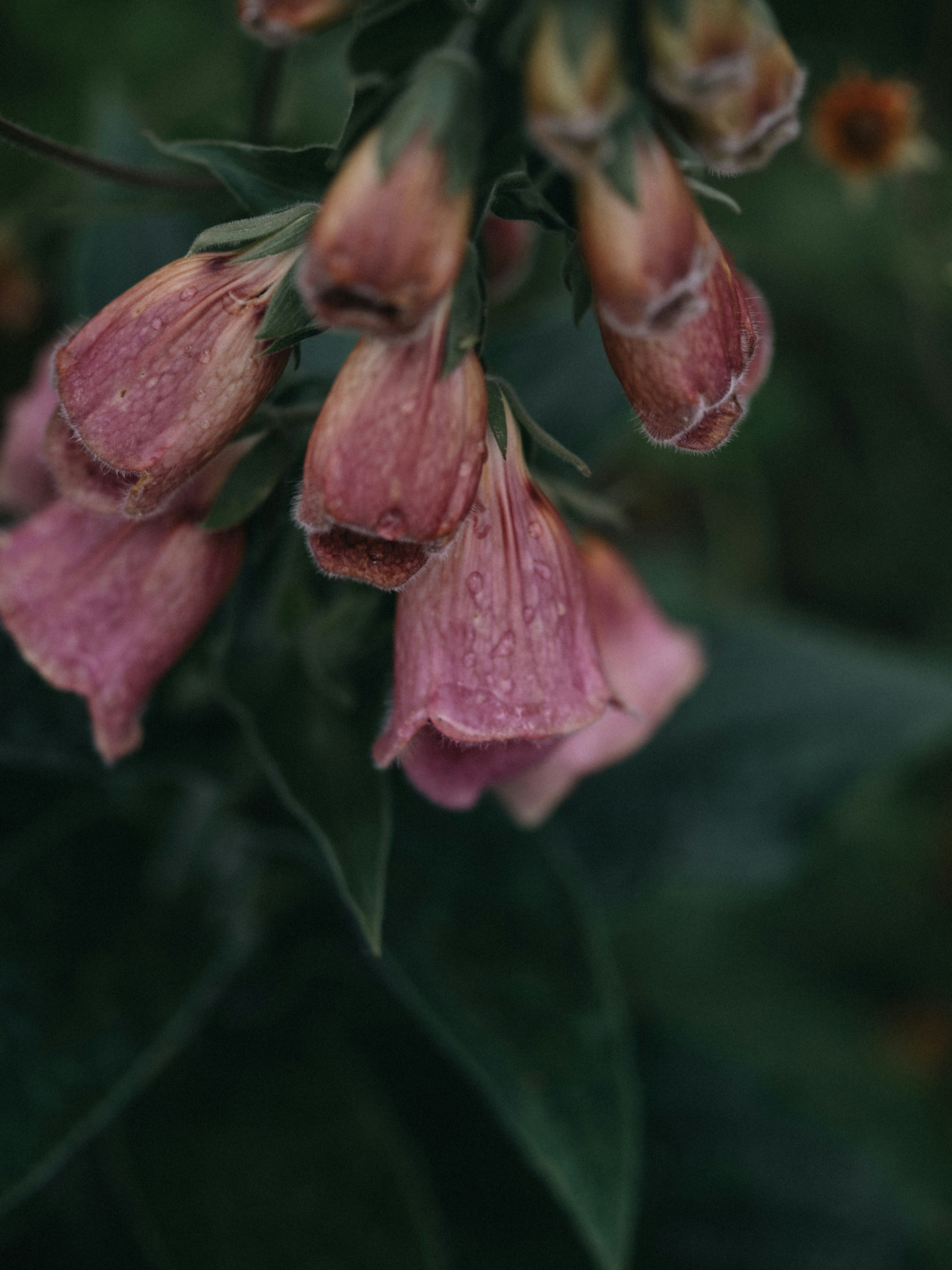 Photo by anniespratt