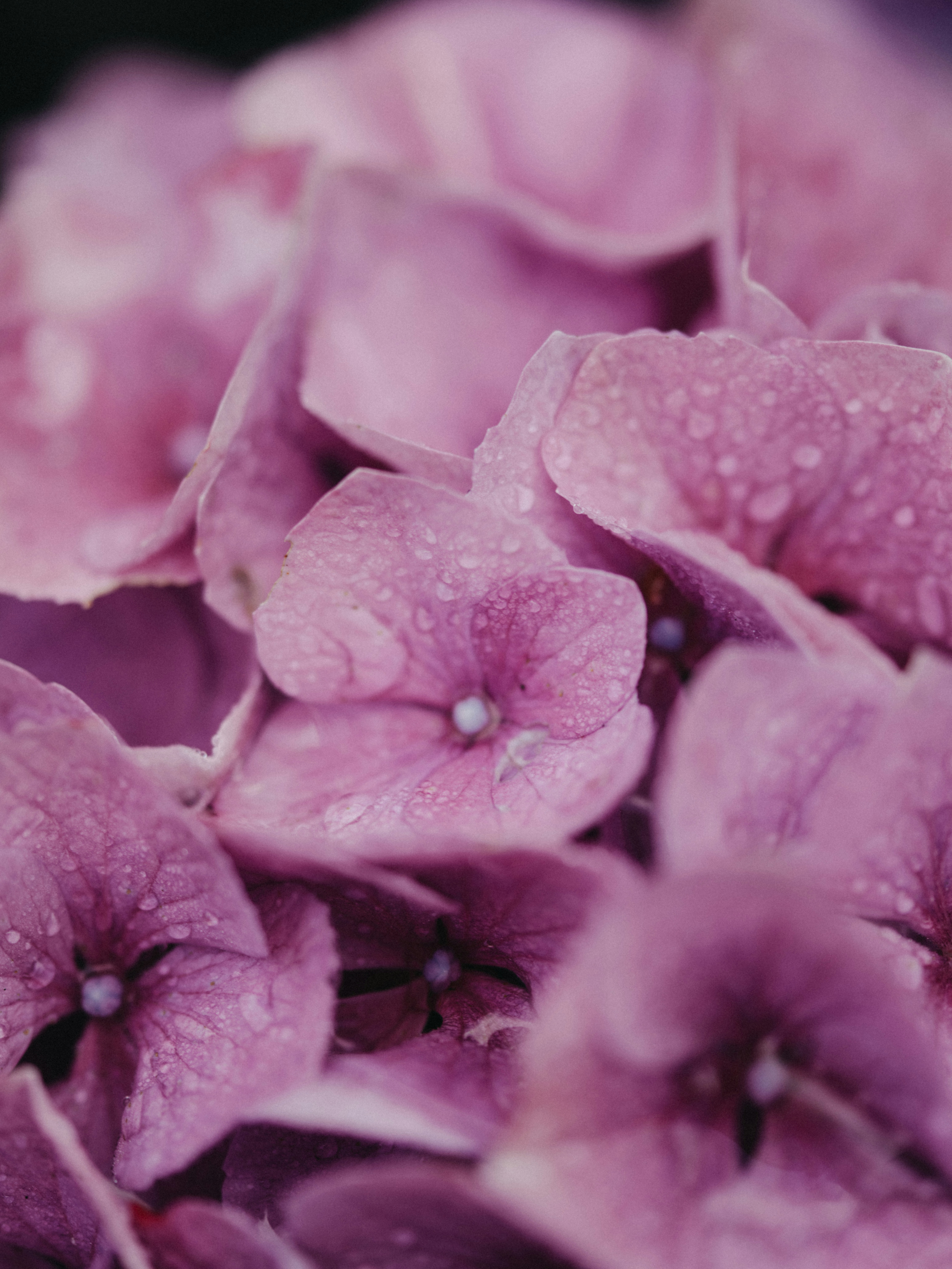 Photo by anniespratt