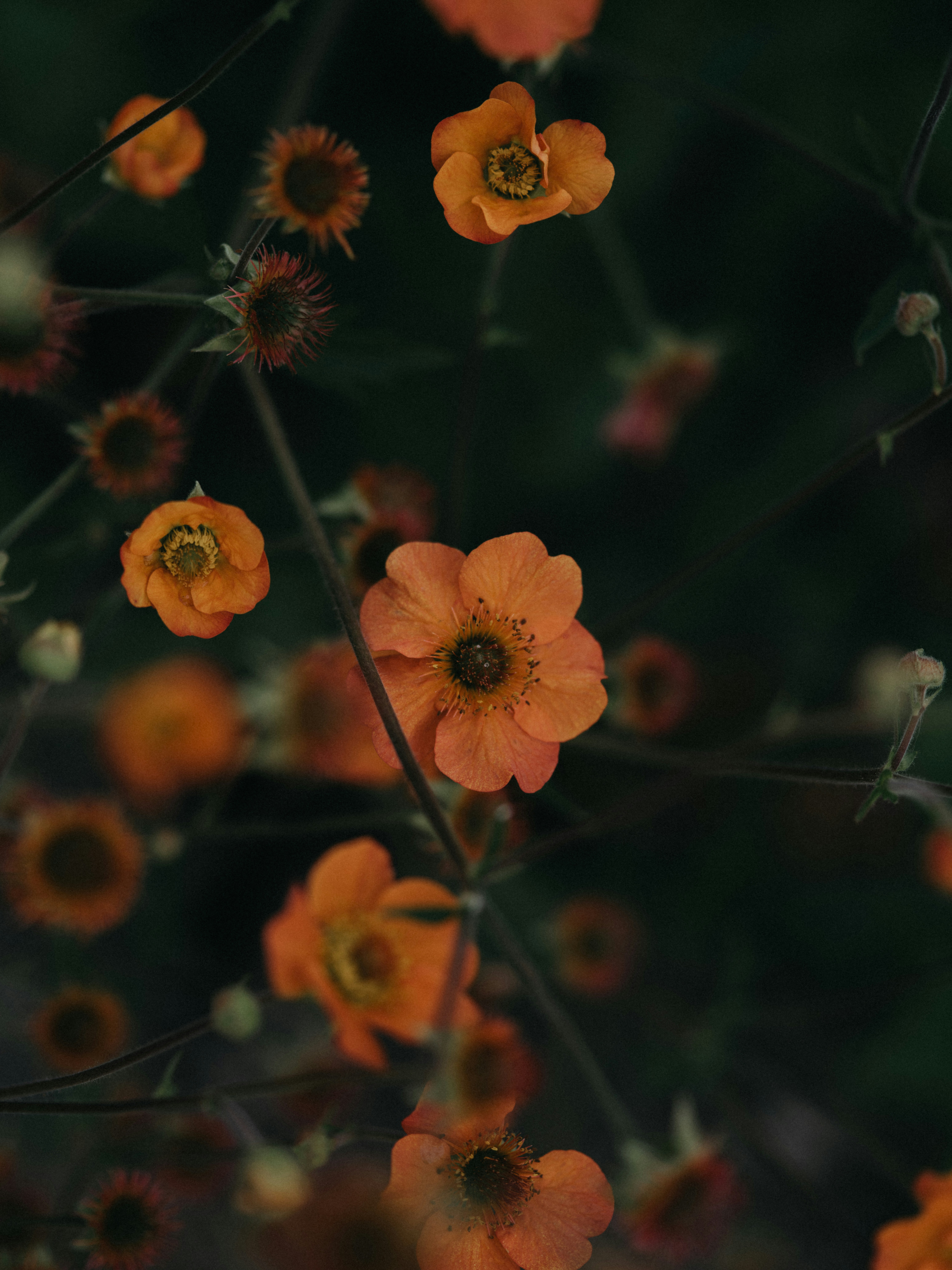 Photo by anniespratt