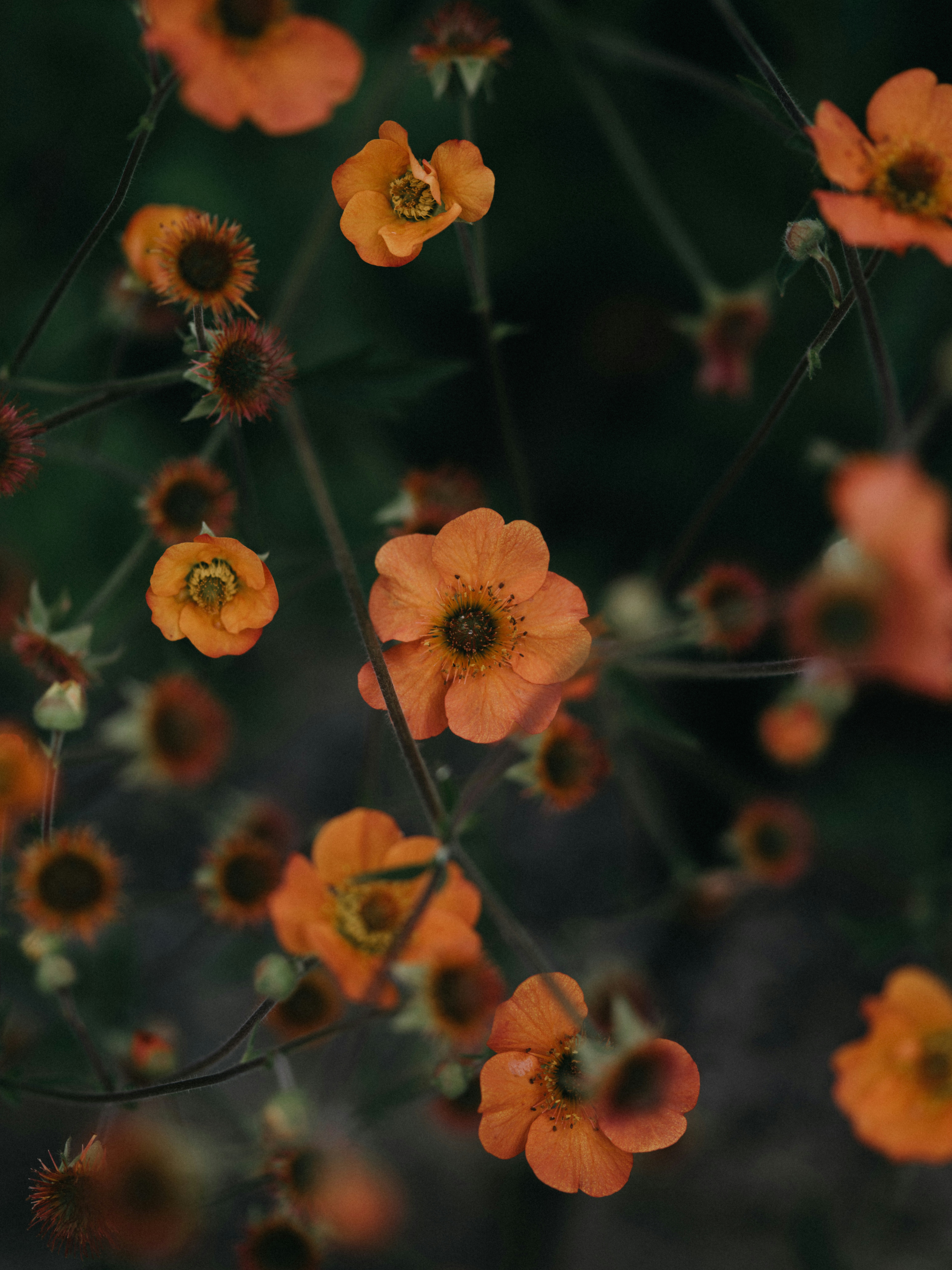 Photo by anniespratt