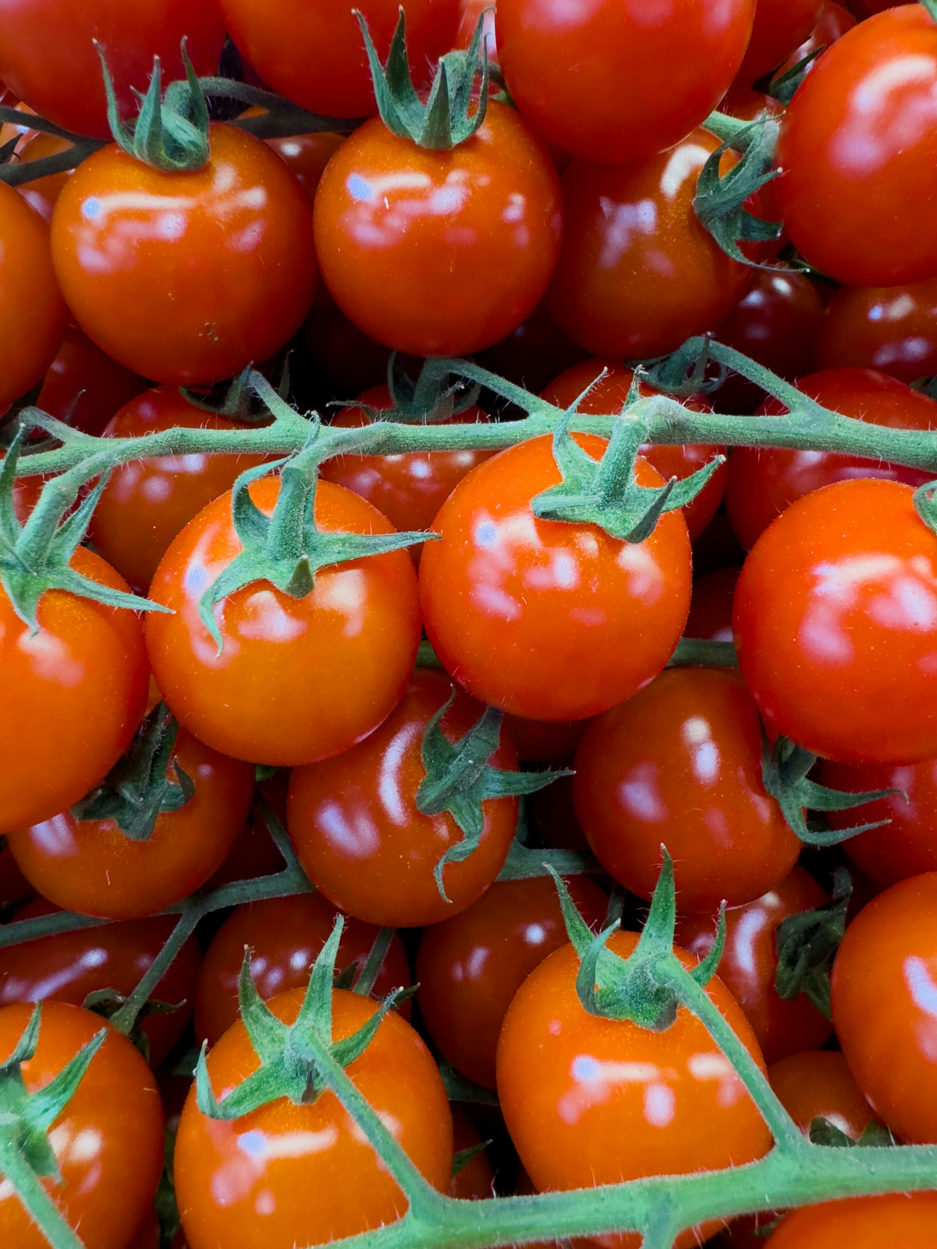 Photo by eddiepipocas