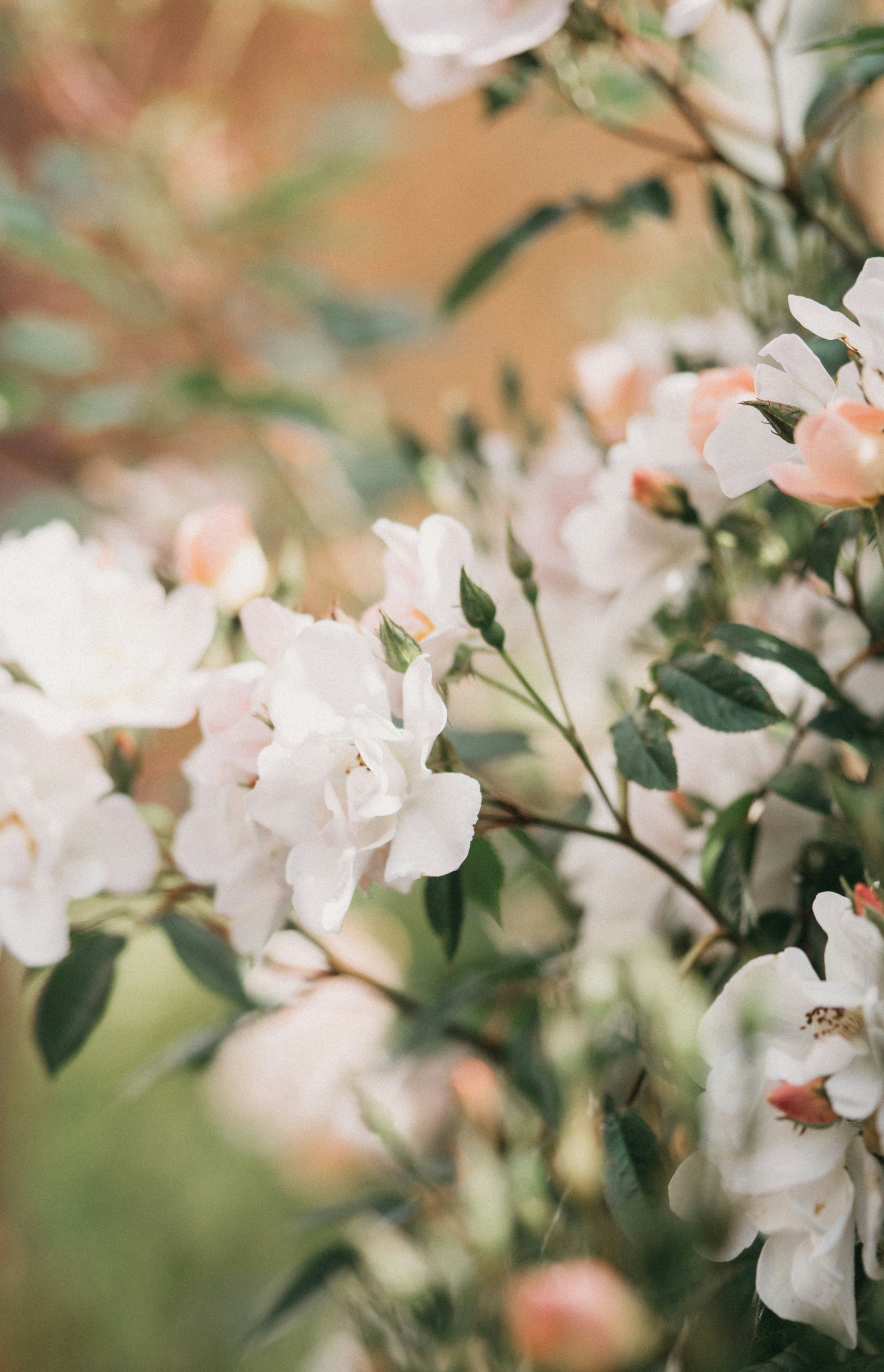 Photo by anniespratt