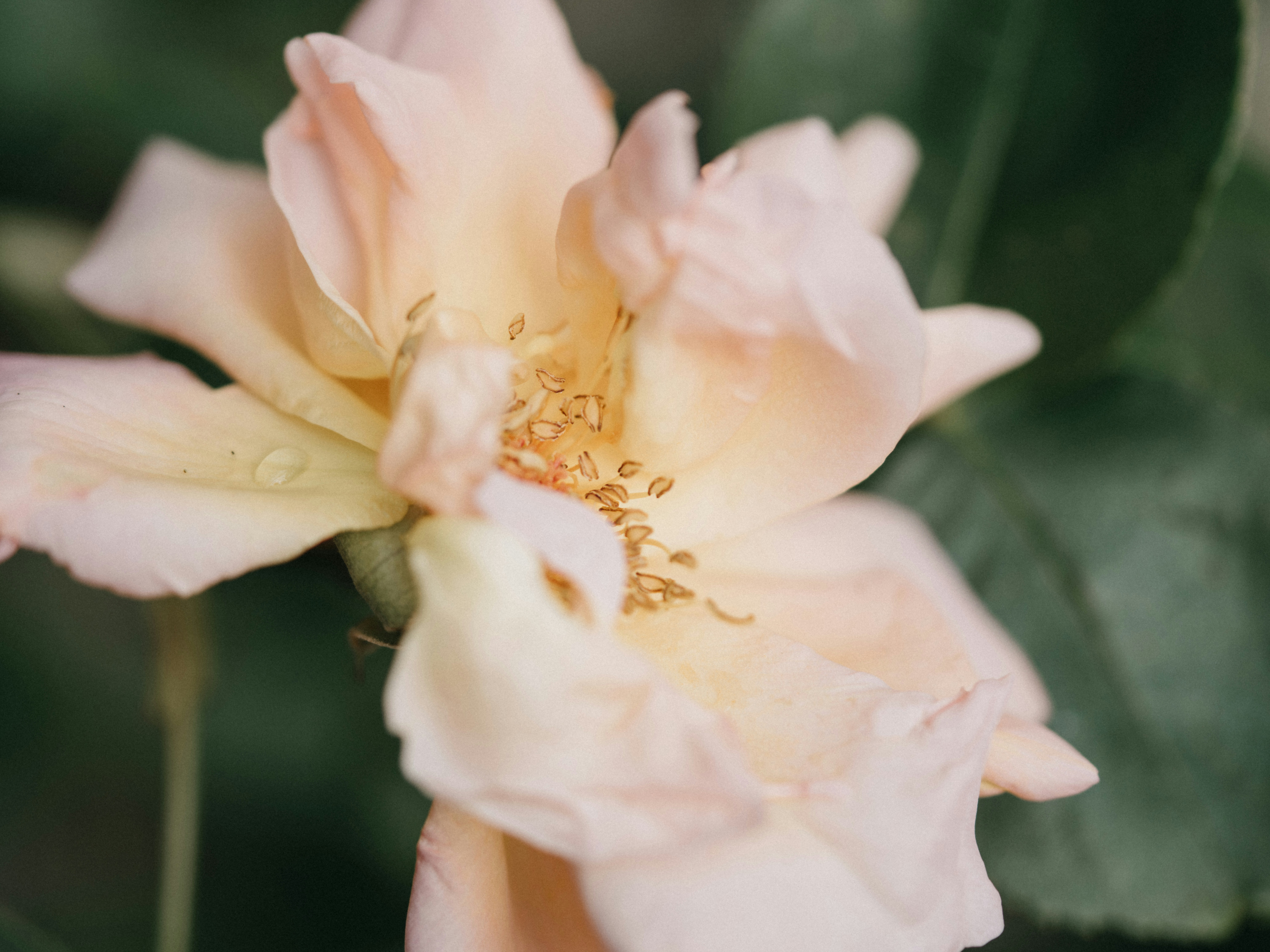 Photo by anniespratt