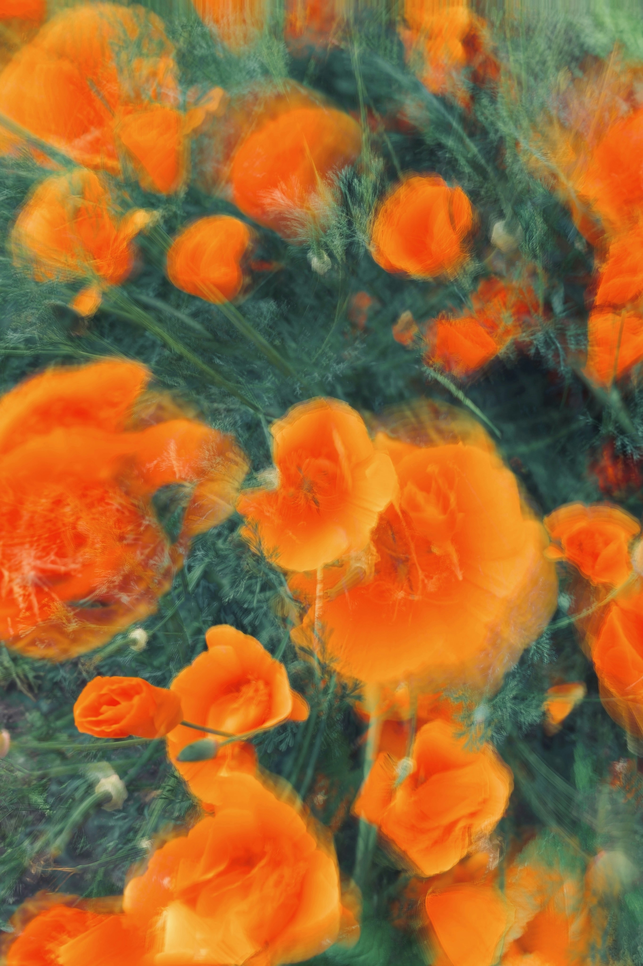 Photo by eugene_golovesov