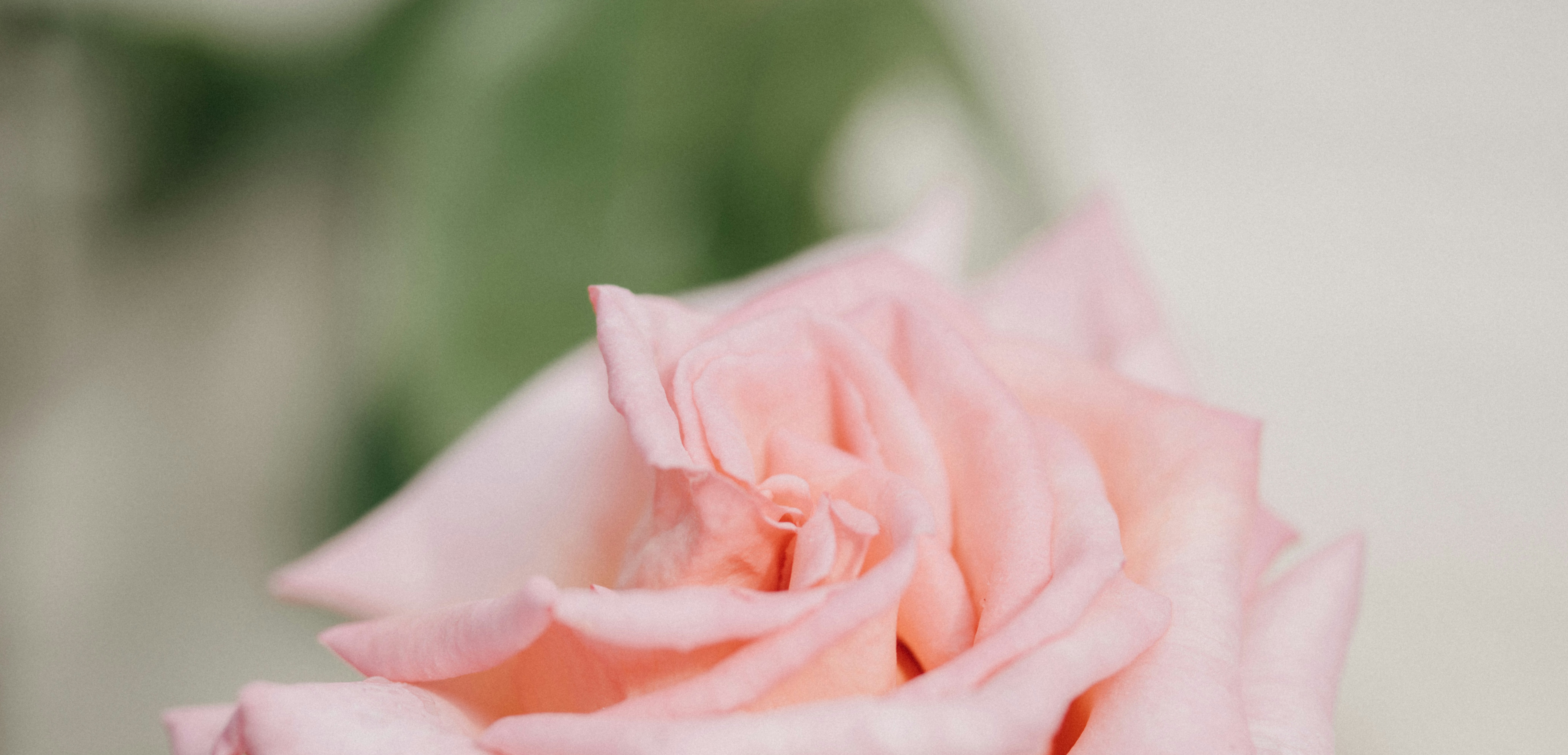 Photo by anniespratt