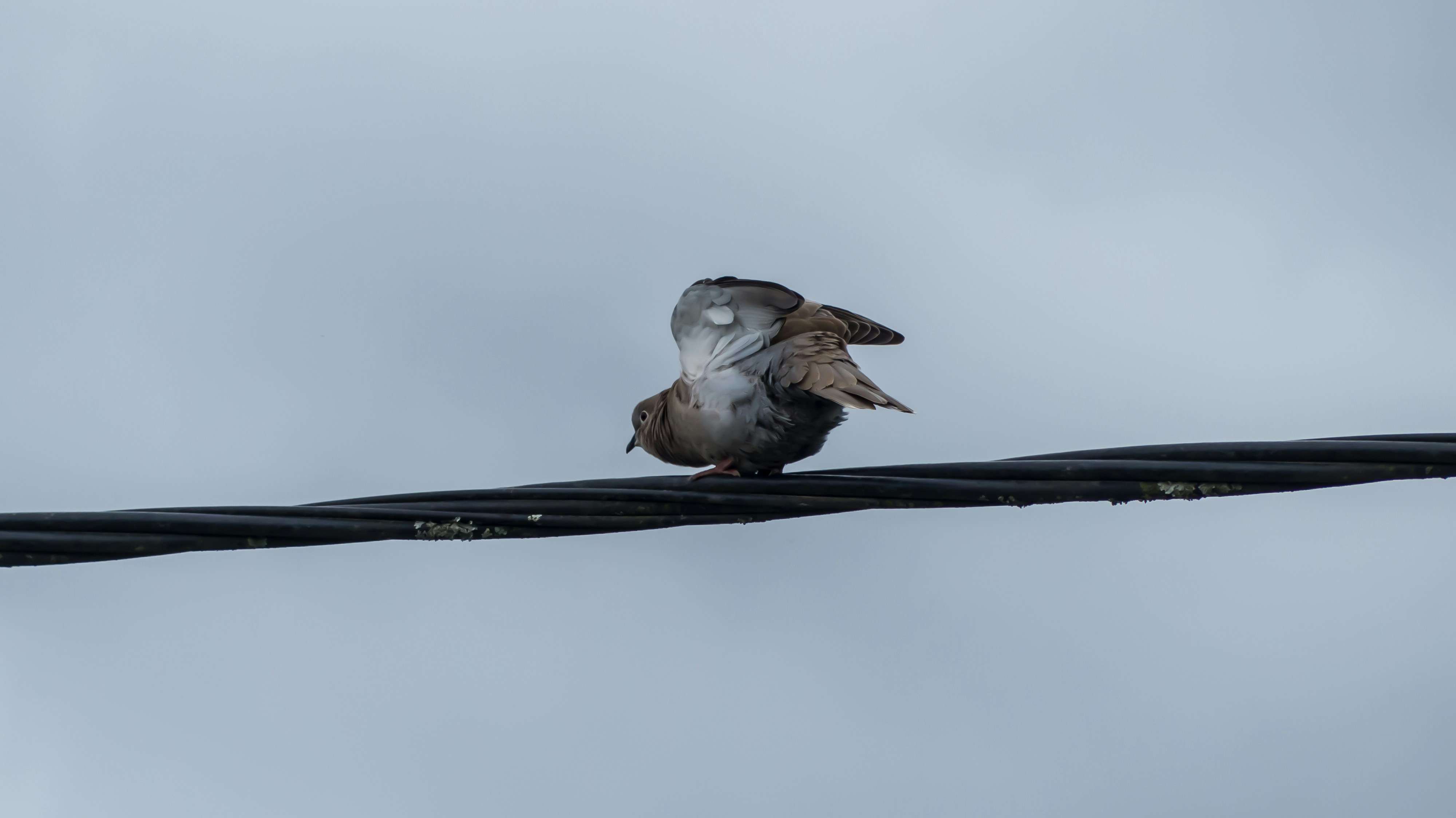 Calculating tension in music