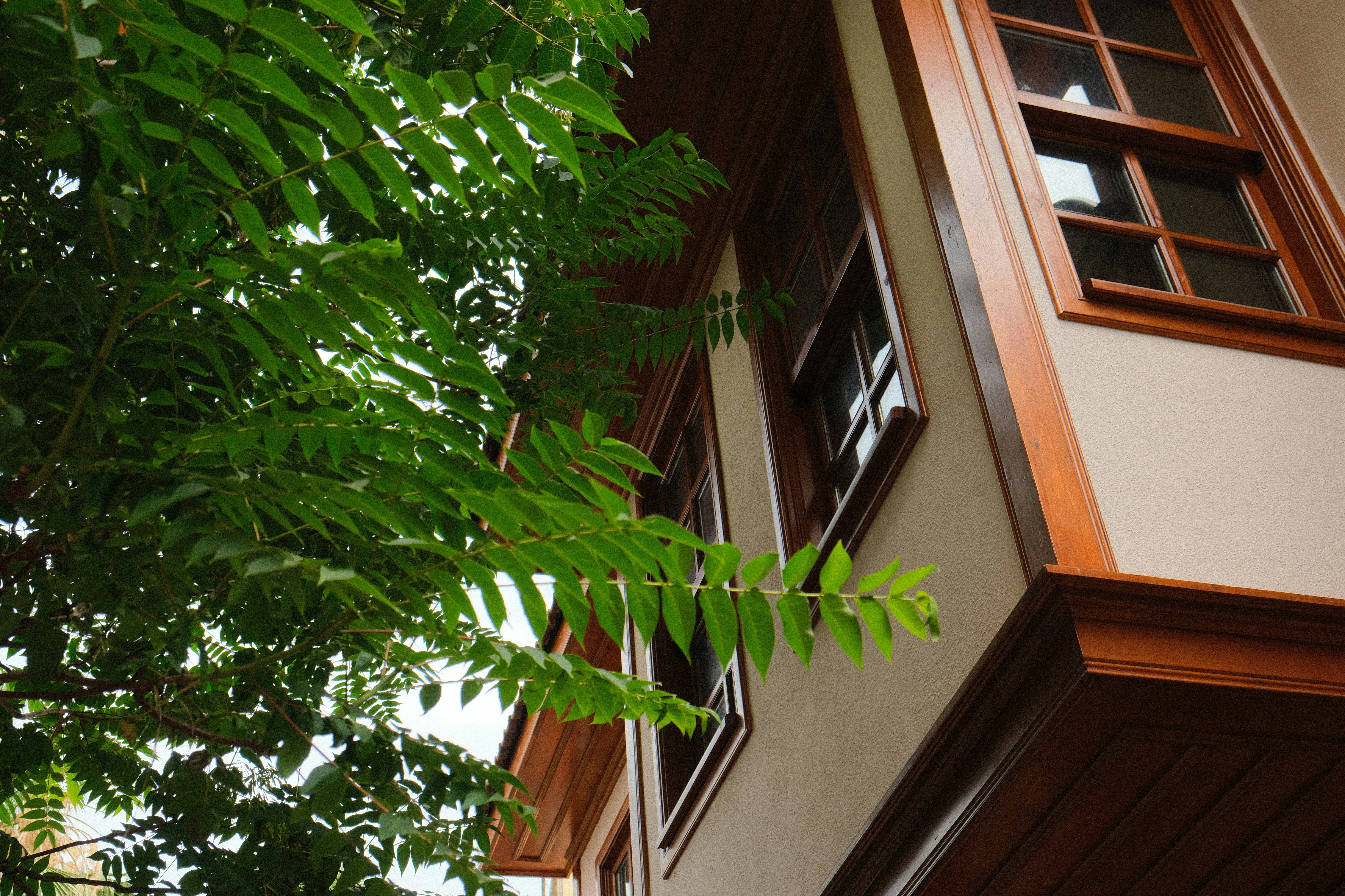 Photo by thesilvafocus