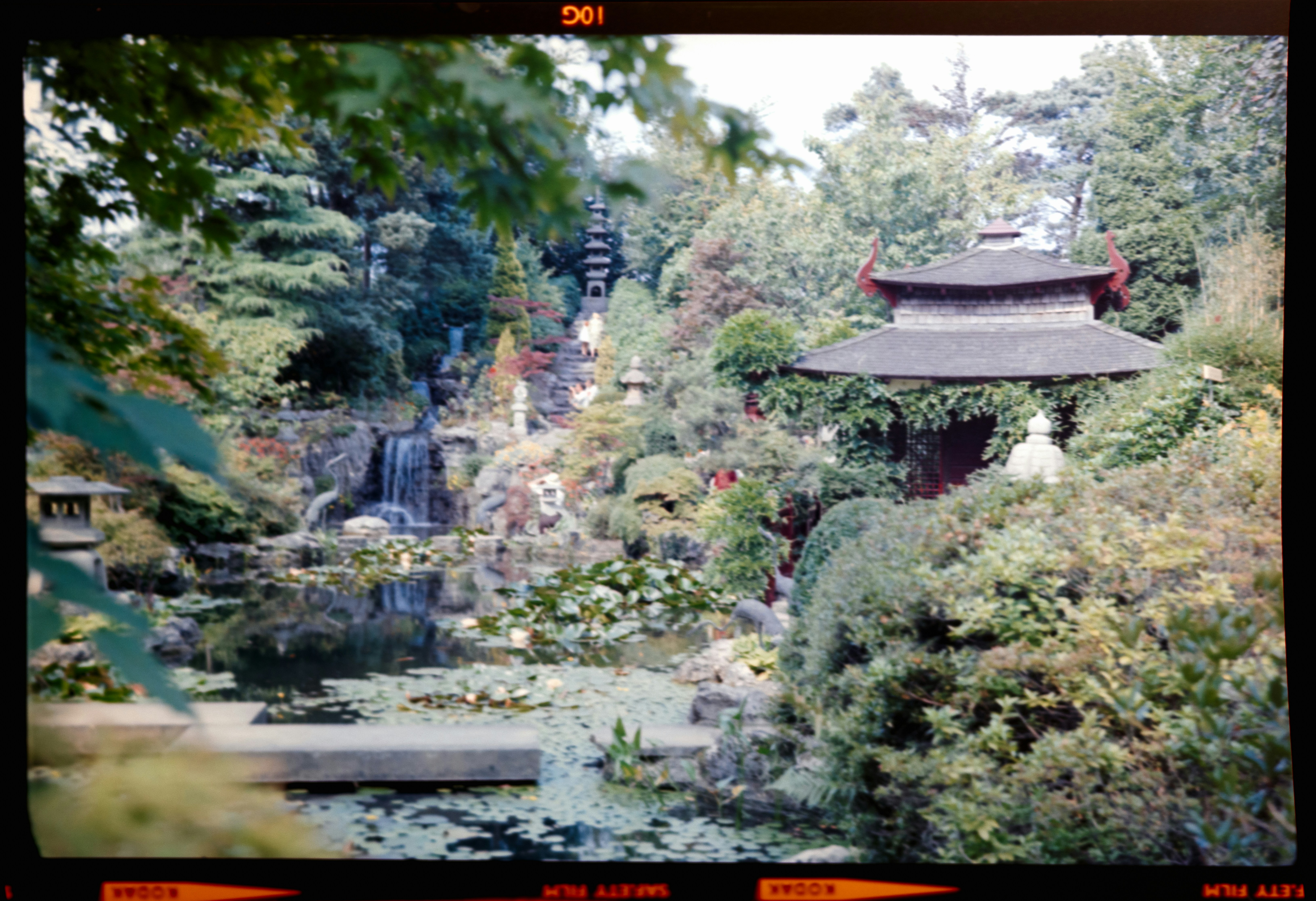 Photo by anniespratt