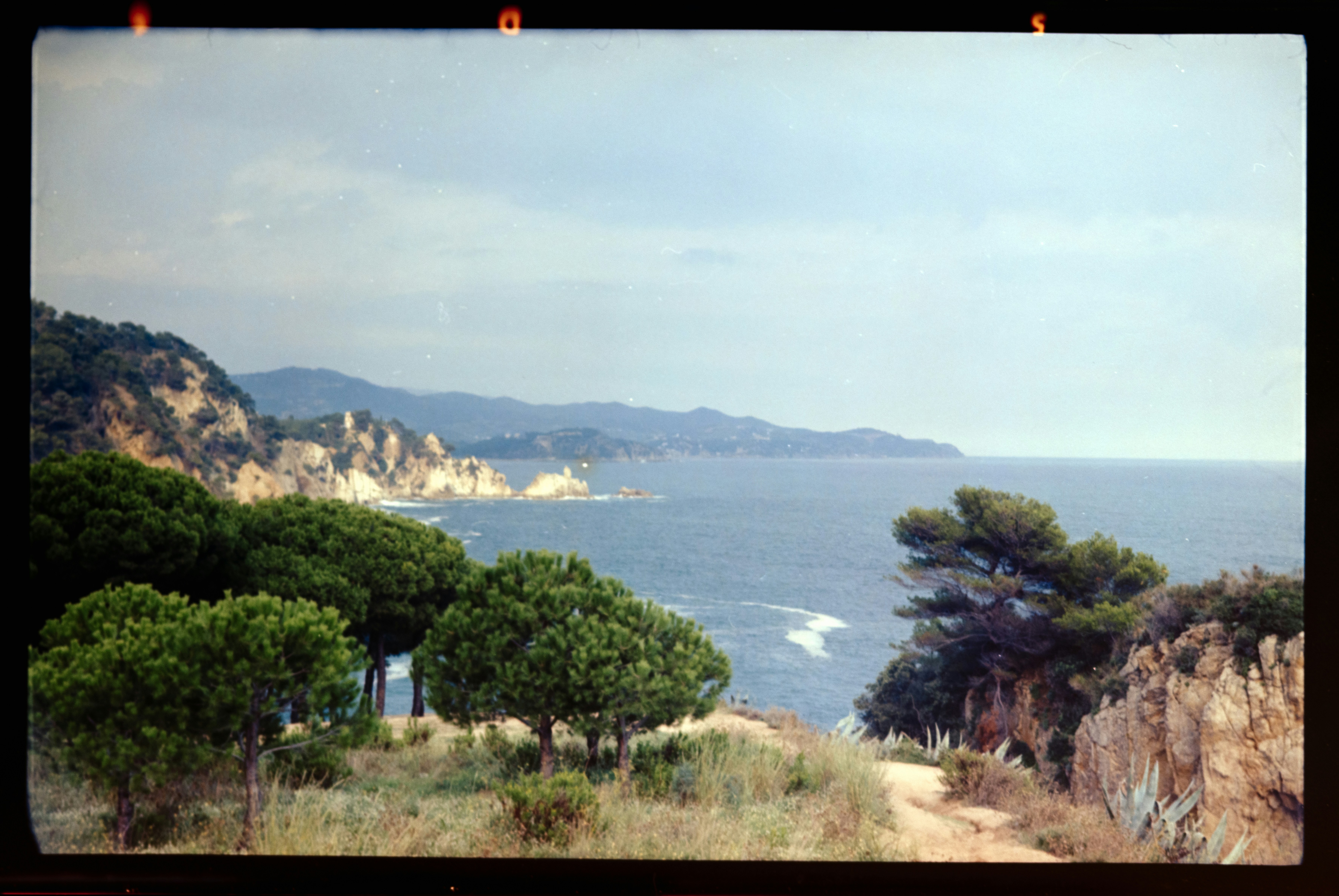 나이대별 연금 보험 가입 전략 (20대~60대)