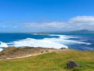 a view of the ocean from the top of a hill