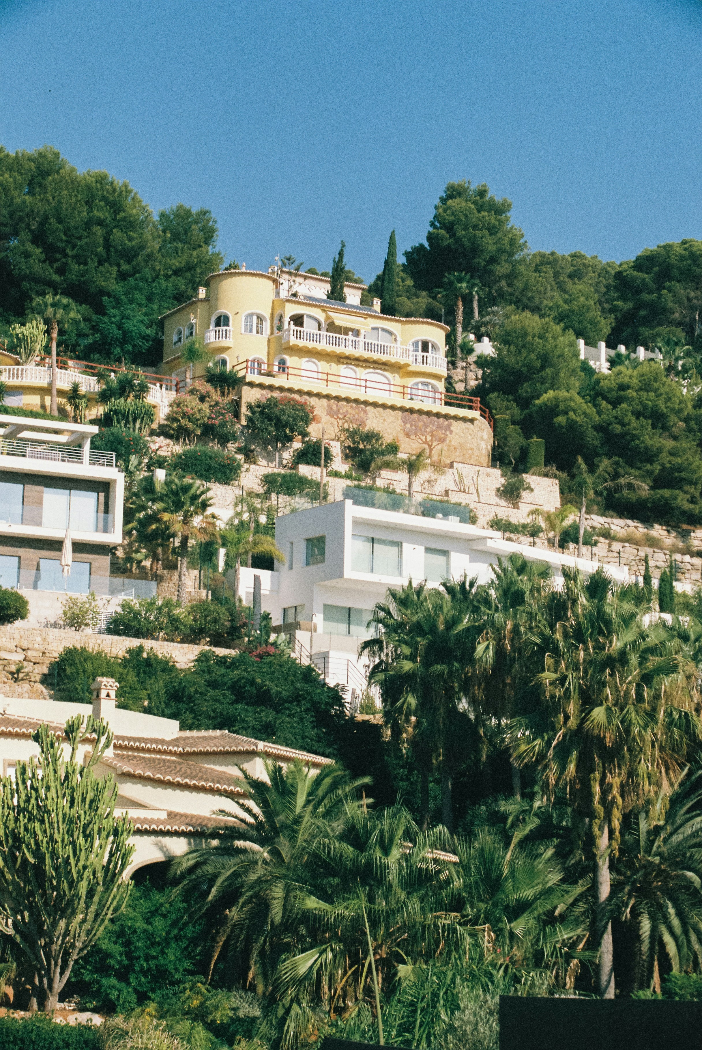 a house on a hill with palm trees