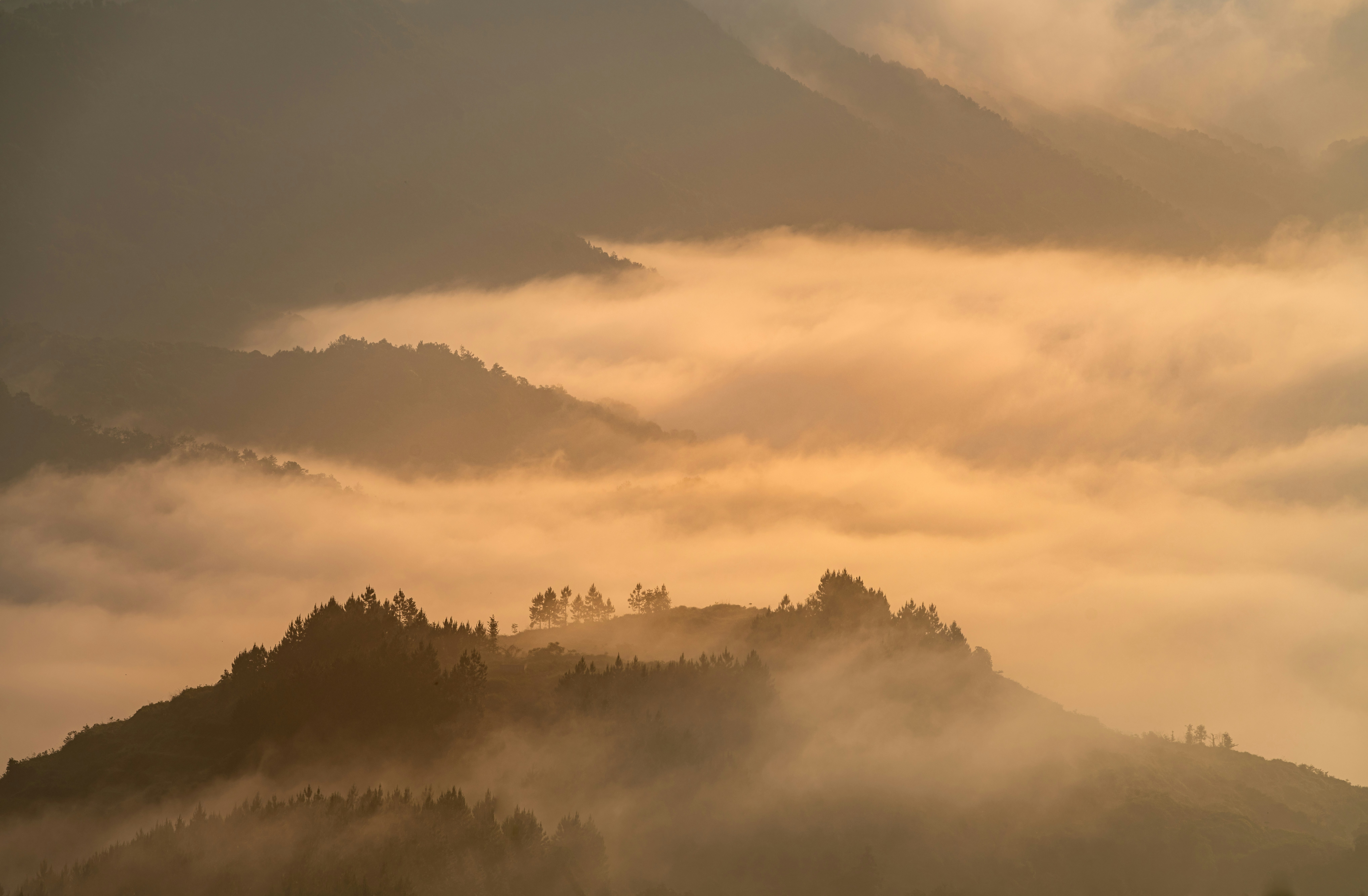 Photo by yangzhiyuan