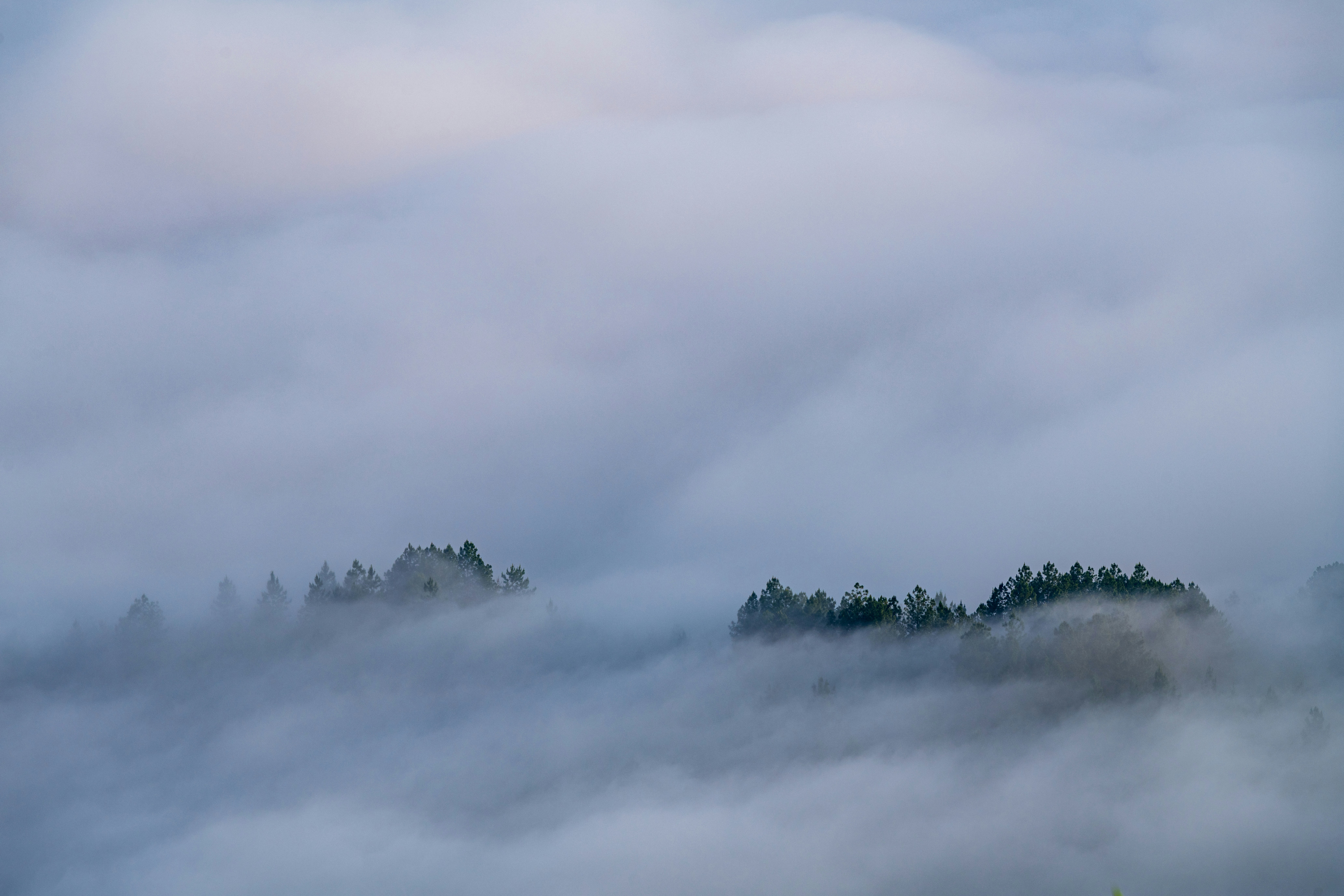 Photo by yangzhiyuan