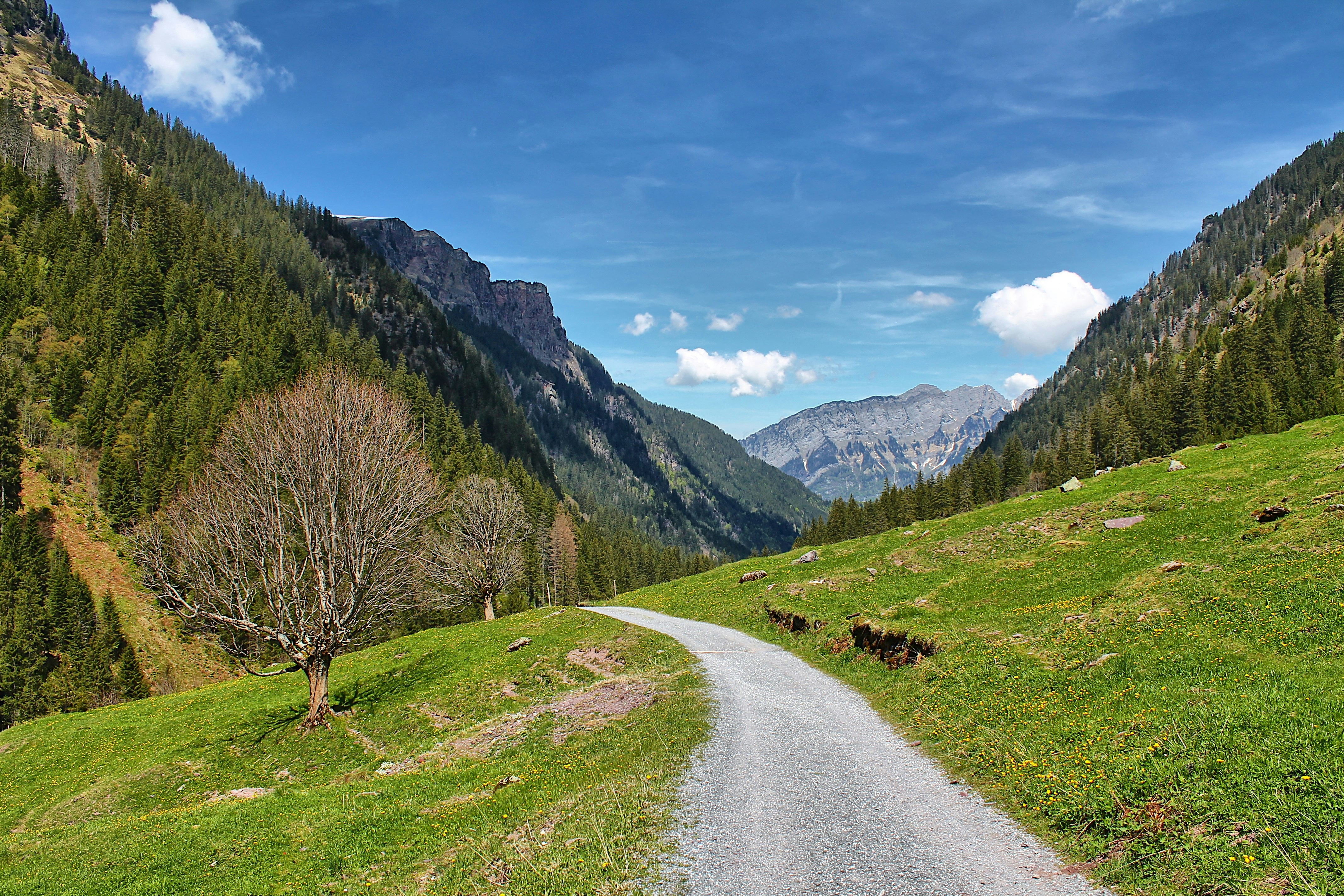 Photo by appenzellmoto