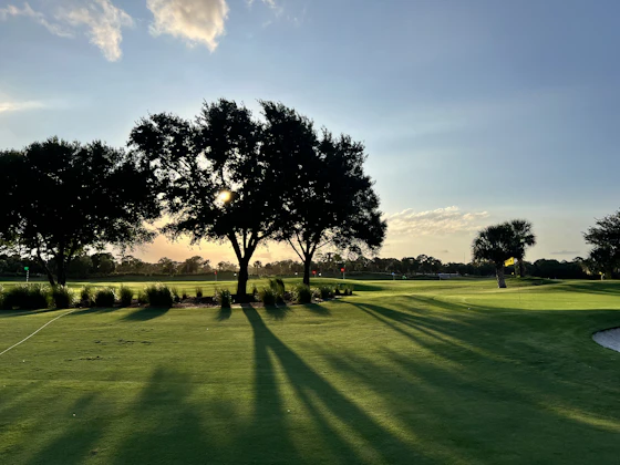 Long evening shadows across the course