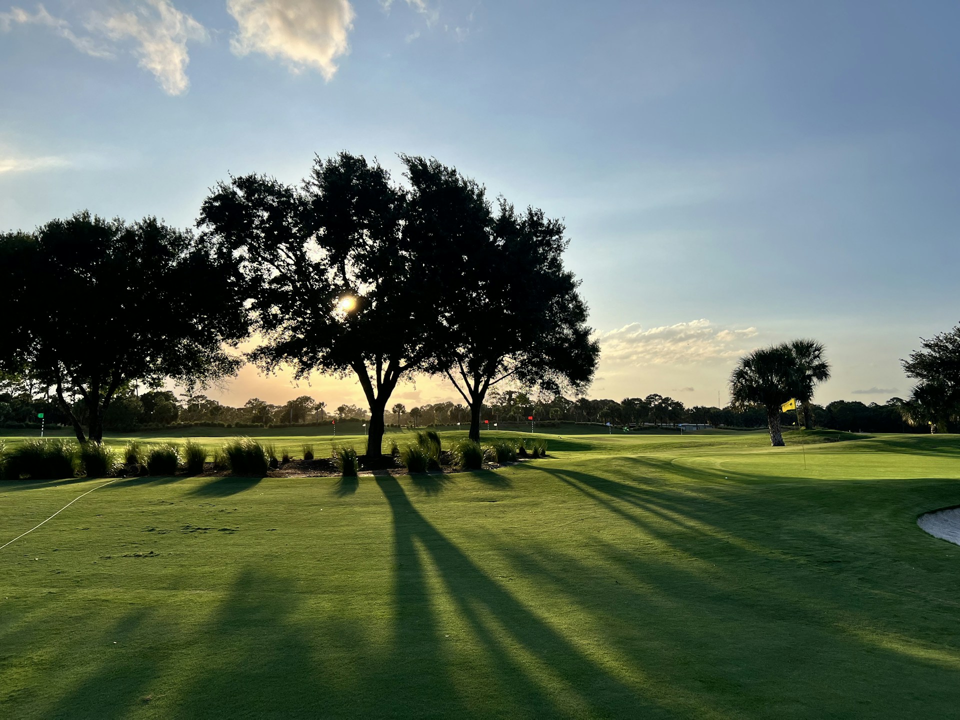 a golf course with a green and trees