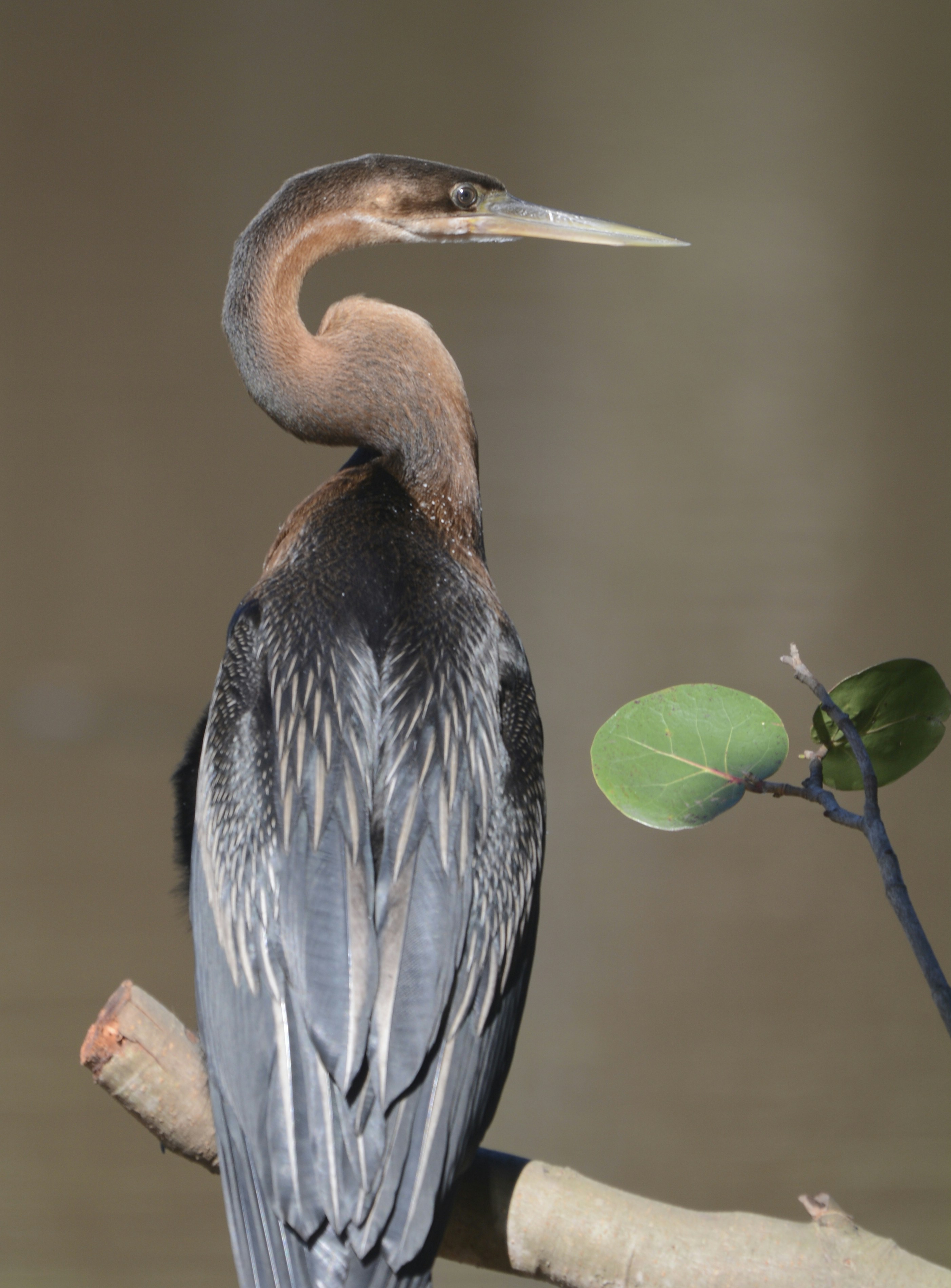 Photo by rene_lehmkuhl