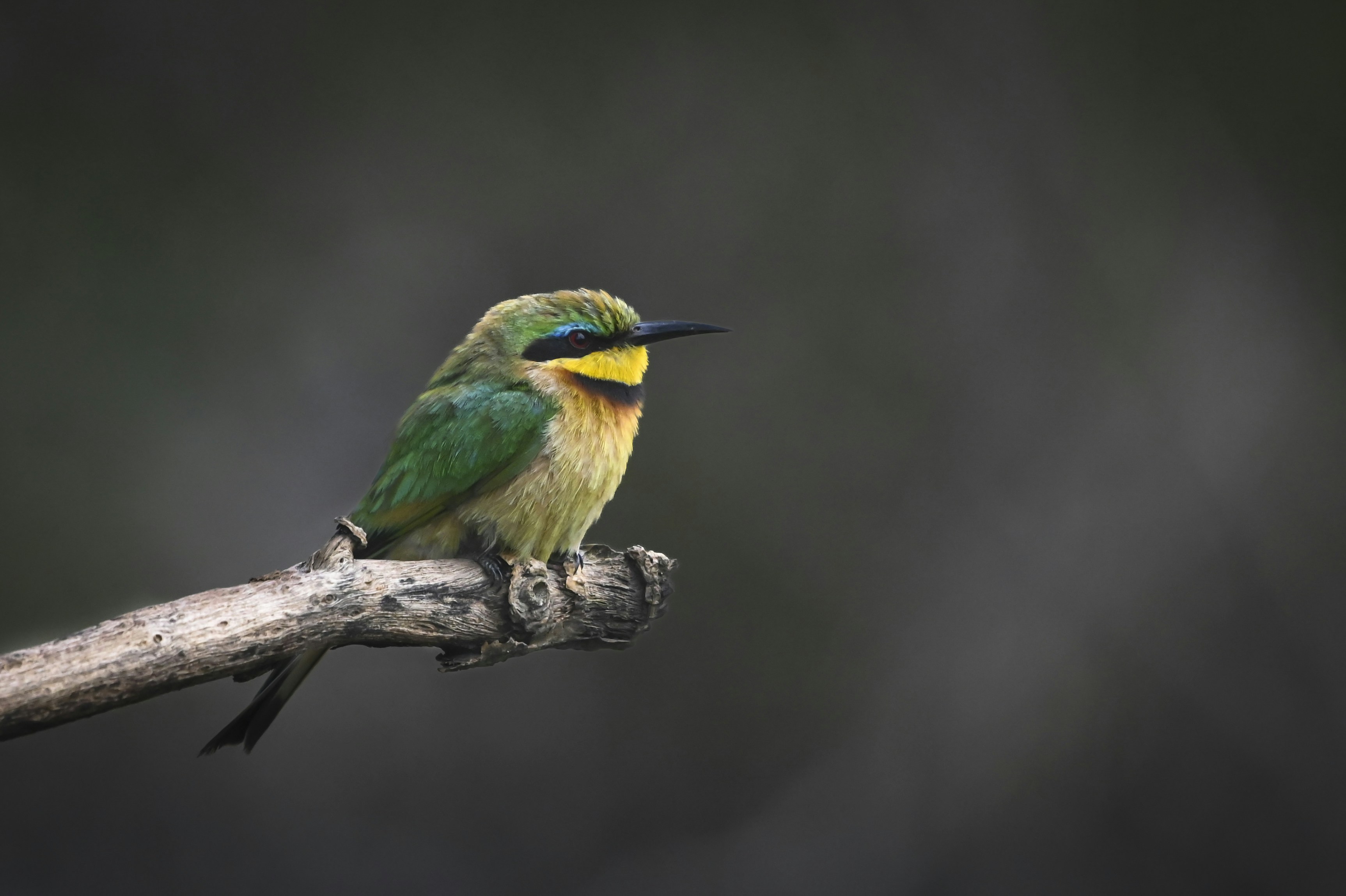 Photo by rene_lehmkuhl