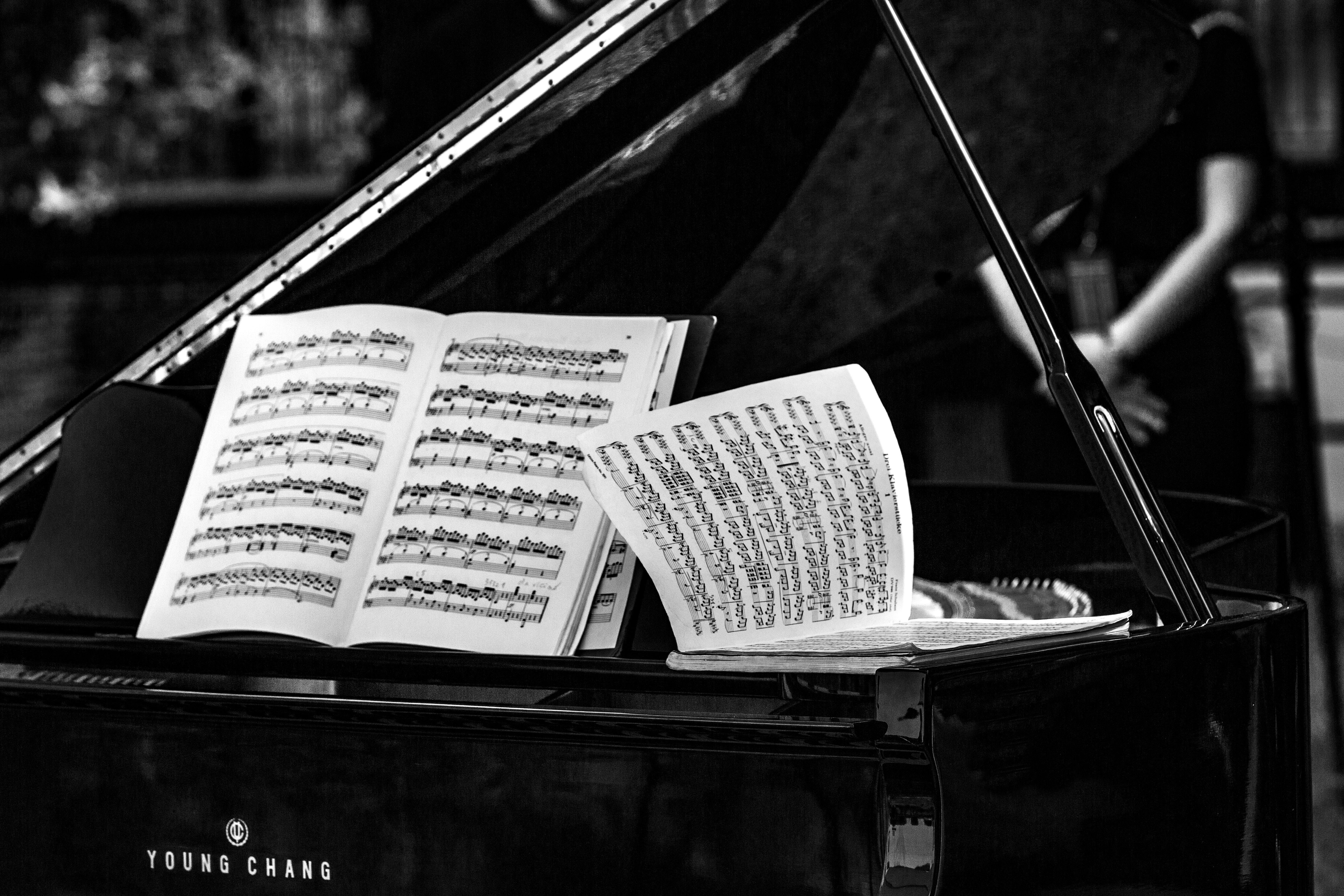 Photo by marcogiuseppetimelli