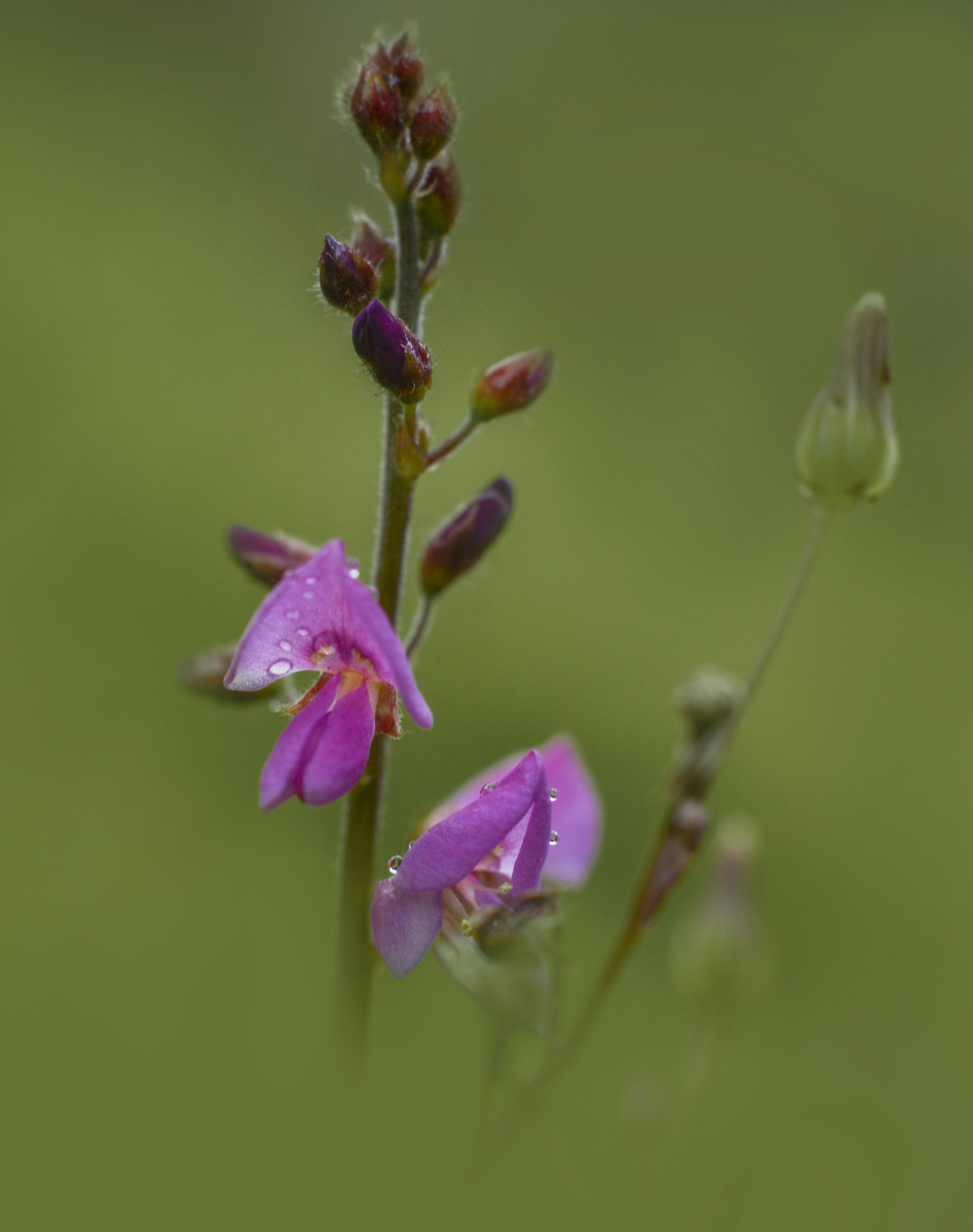 Photo by rene_lehmkuhl