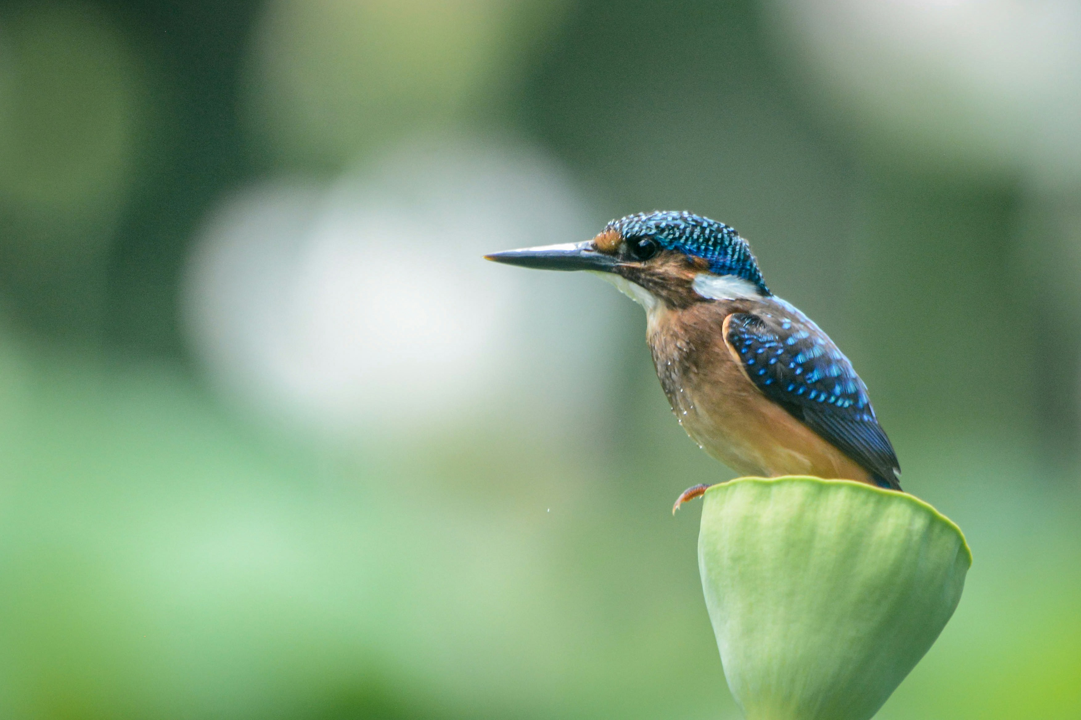 Photo by rene_lehmkuhl