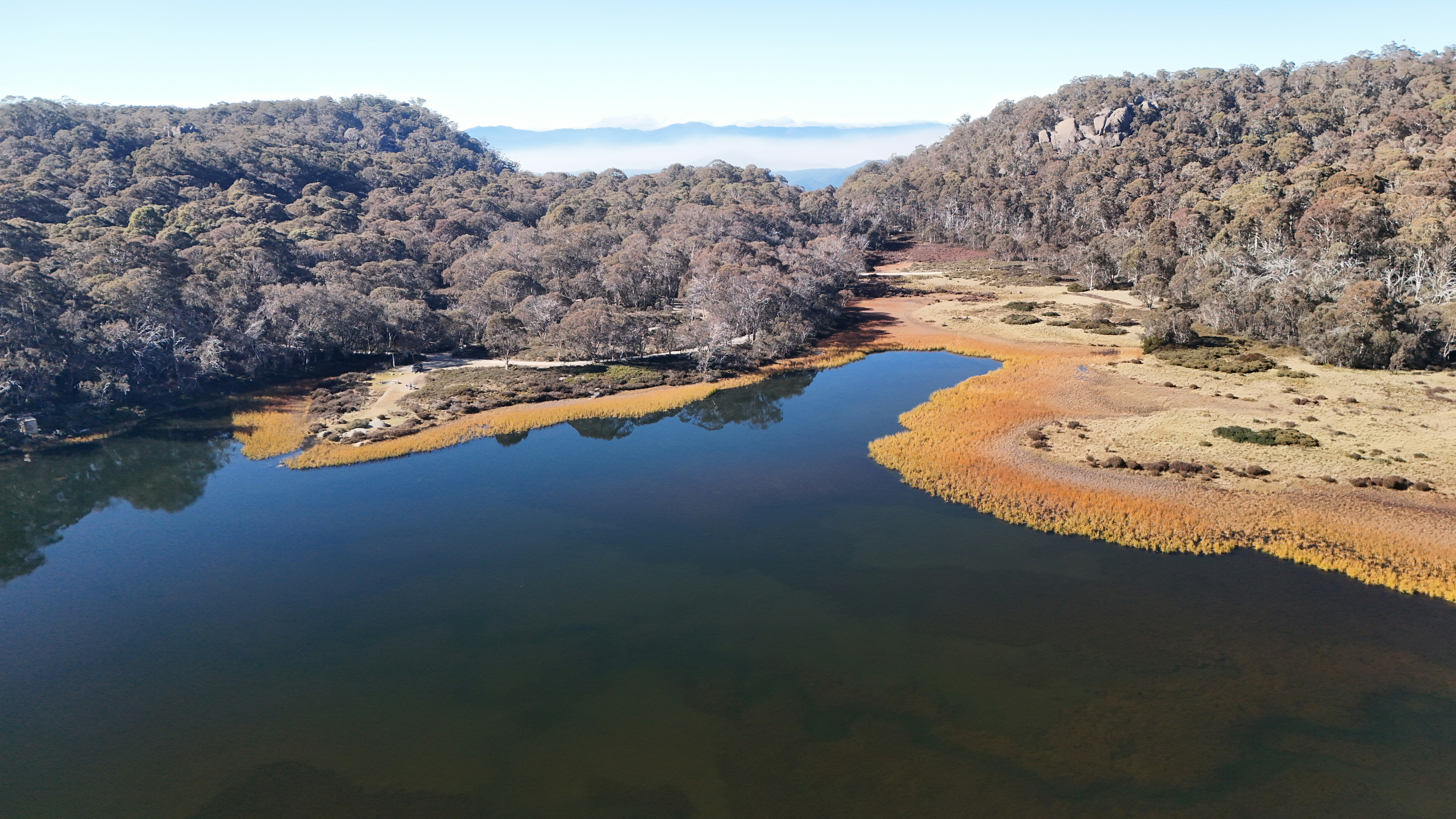 an aerial view of a river surrounded by trees
