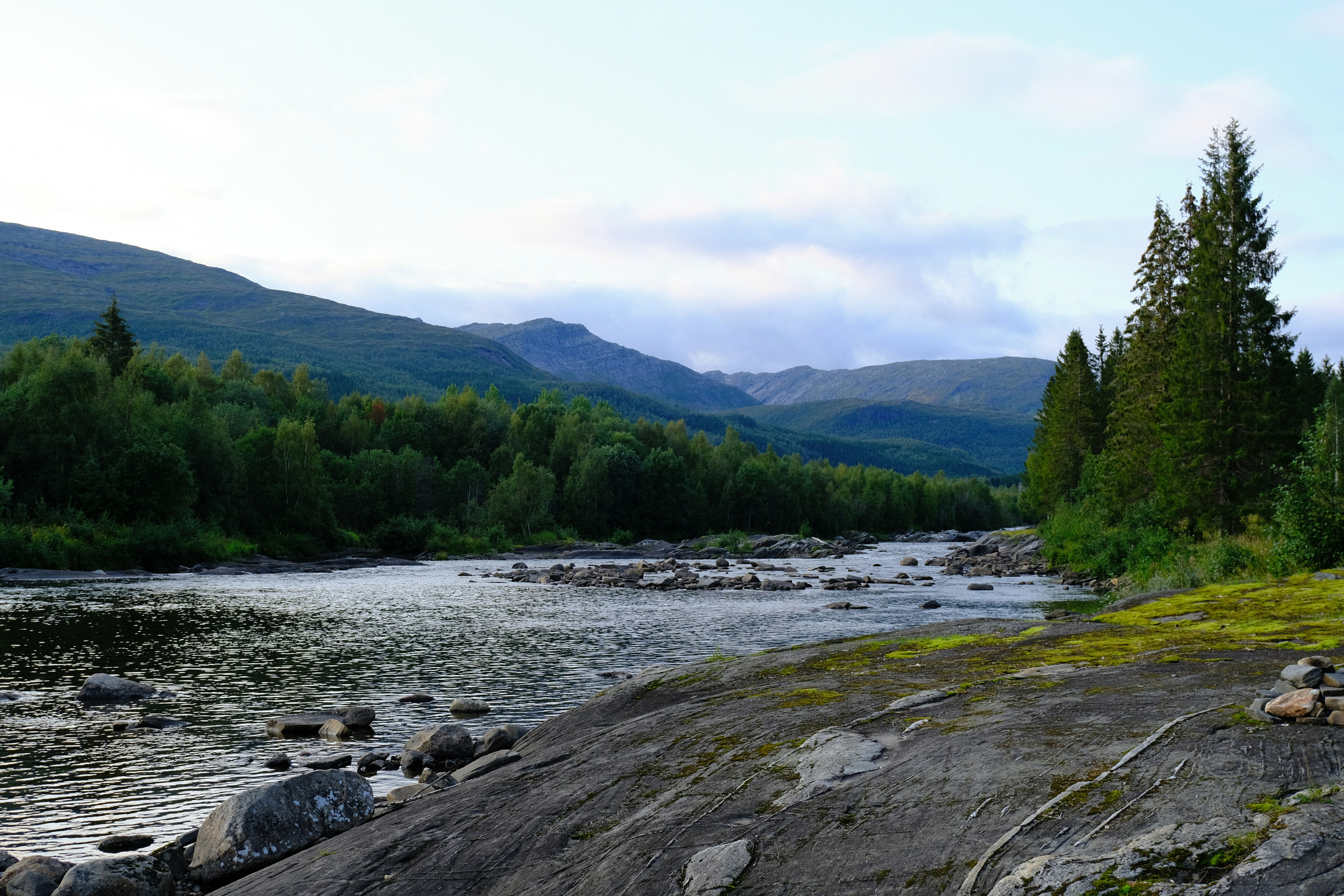 Kosmo, Valnesfjord, Norway. August 2021. SOOC JPEG.