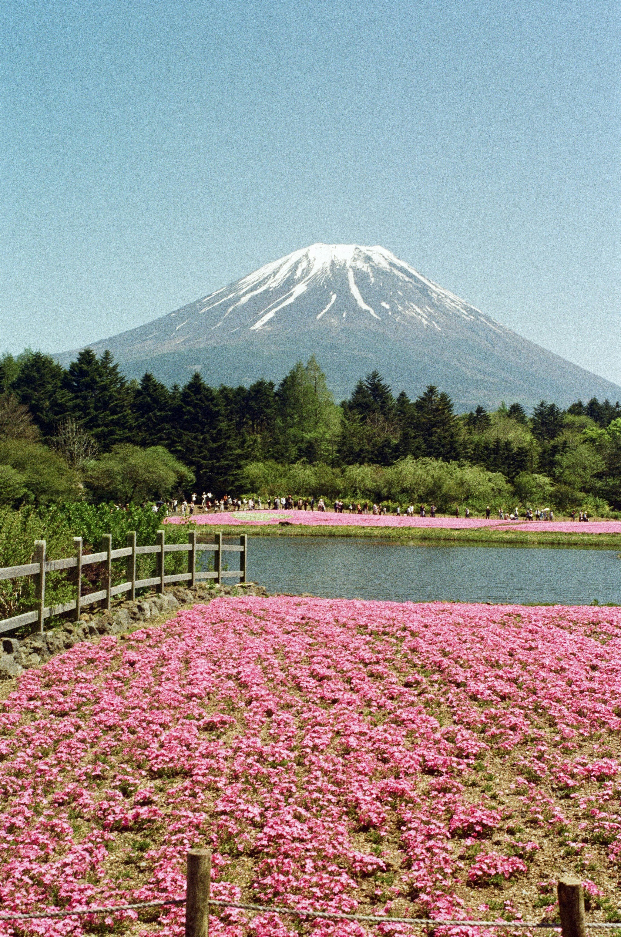 japanese mountains wallpaper, wallpaper, Japanese Highlands Camping: Essential Knowledge 6