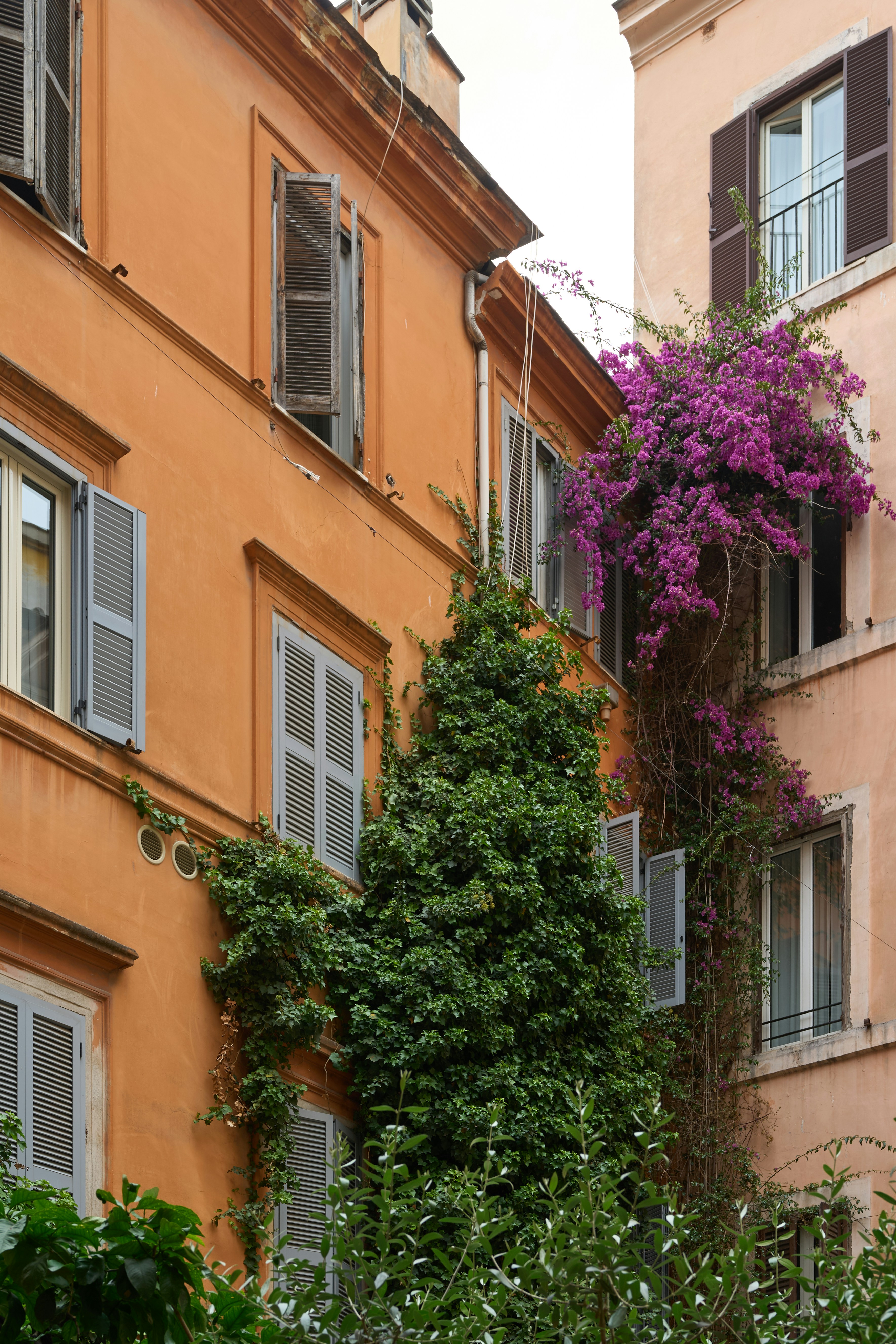 Photo by aliceinland