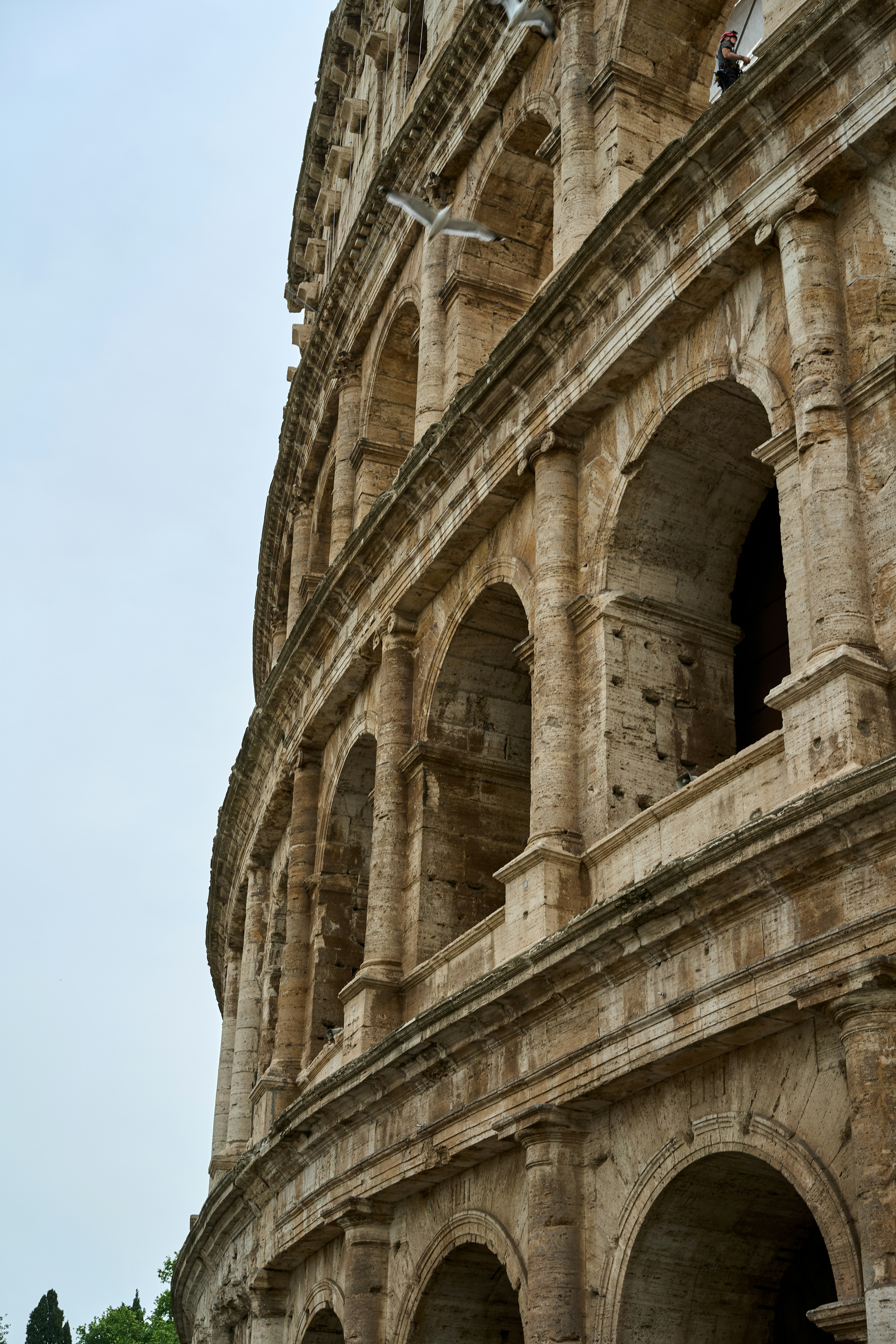 Photo by aliceinland