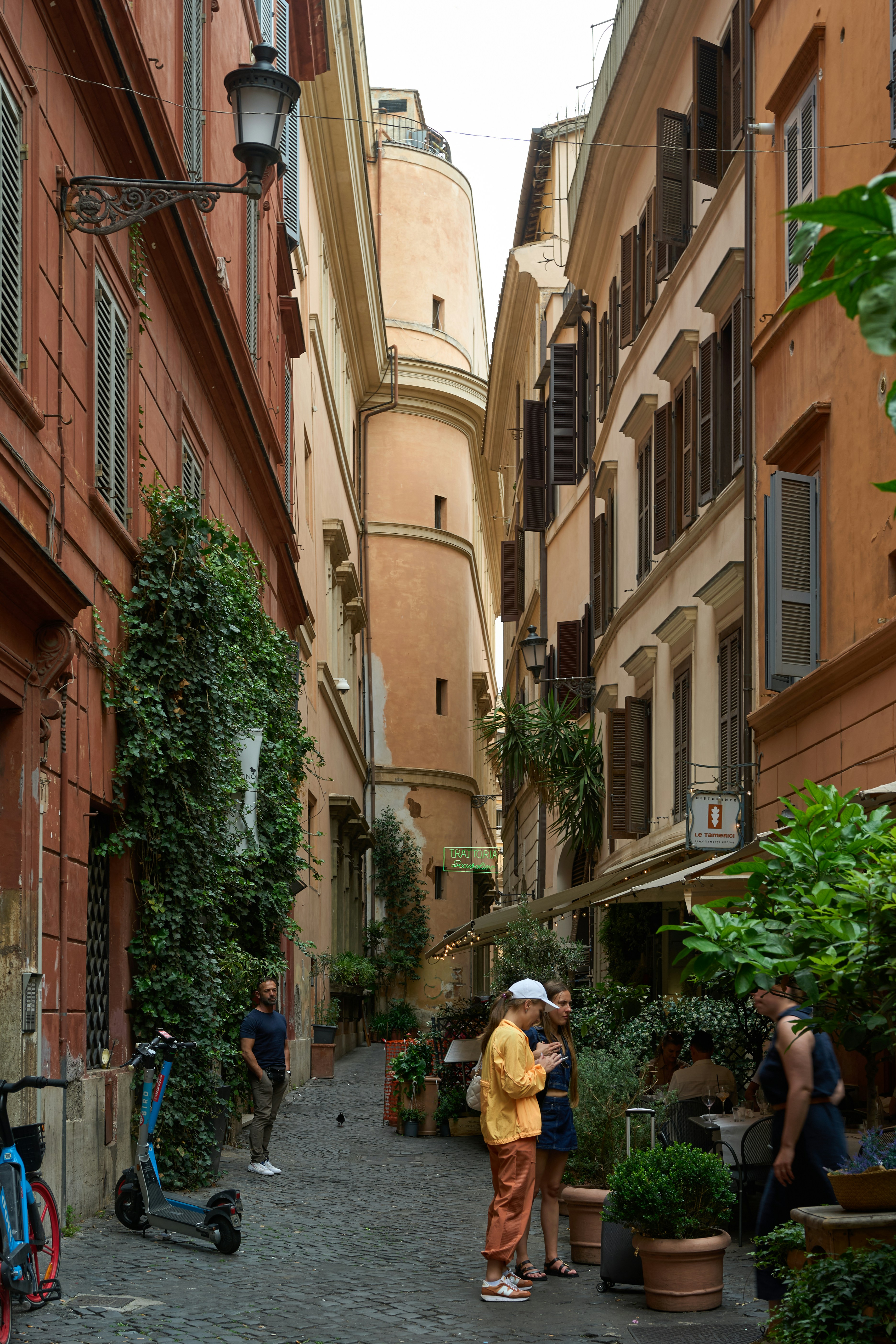 Photo by aliceinland