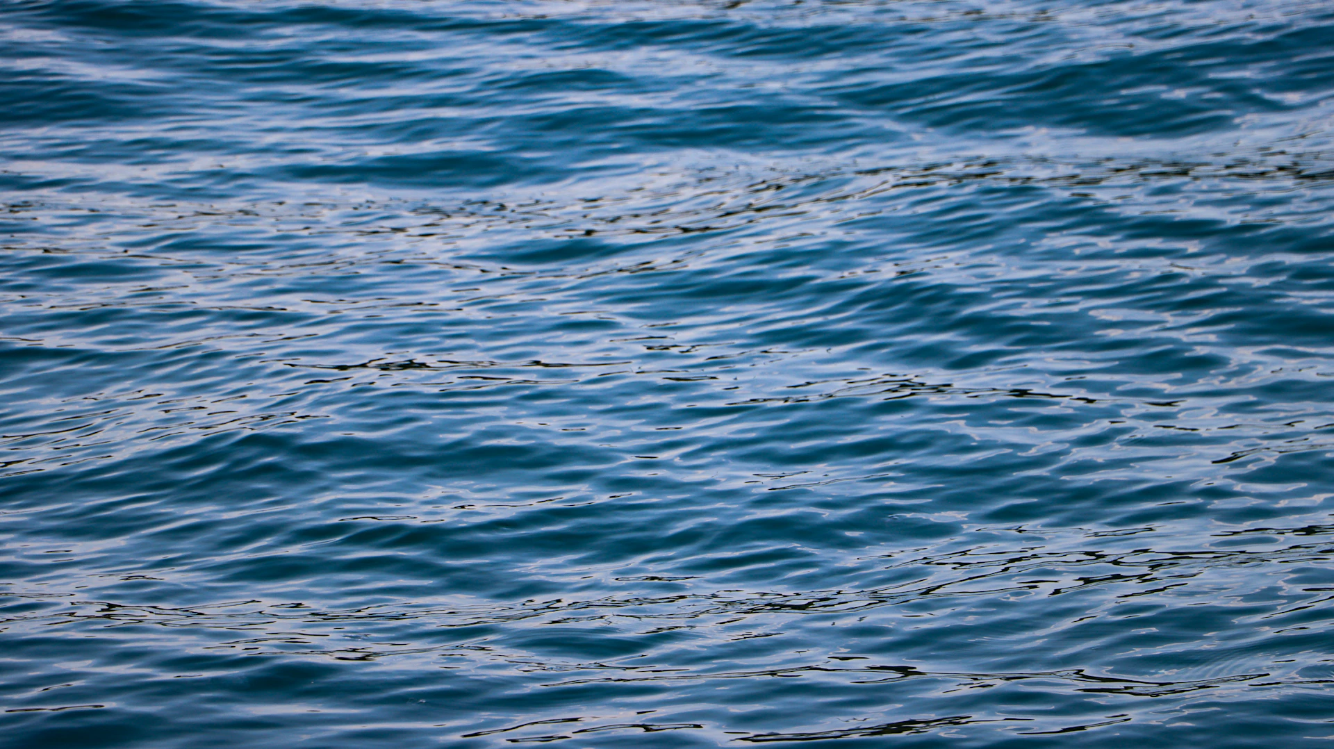 a close up of the surface of a body of water