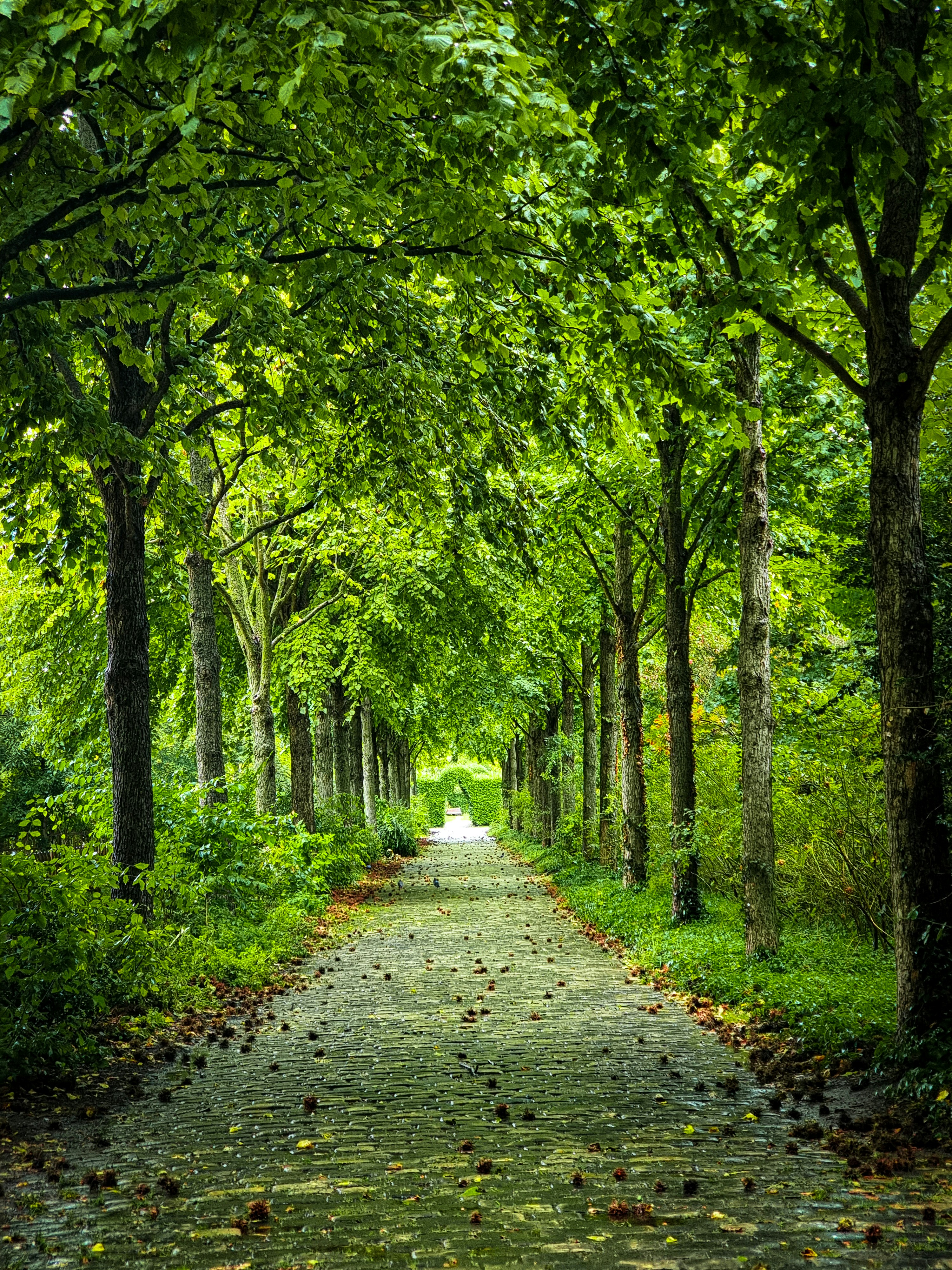 Photo by godefroyboutet