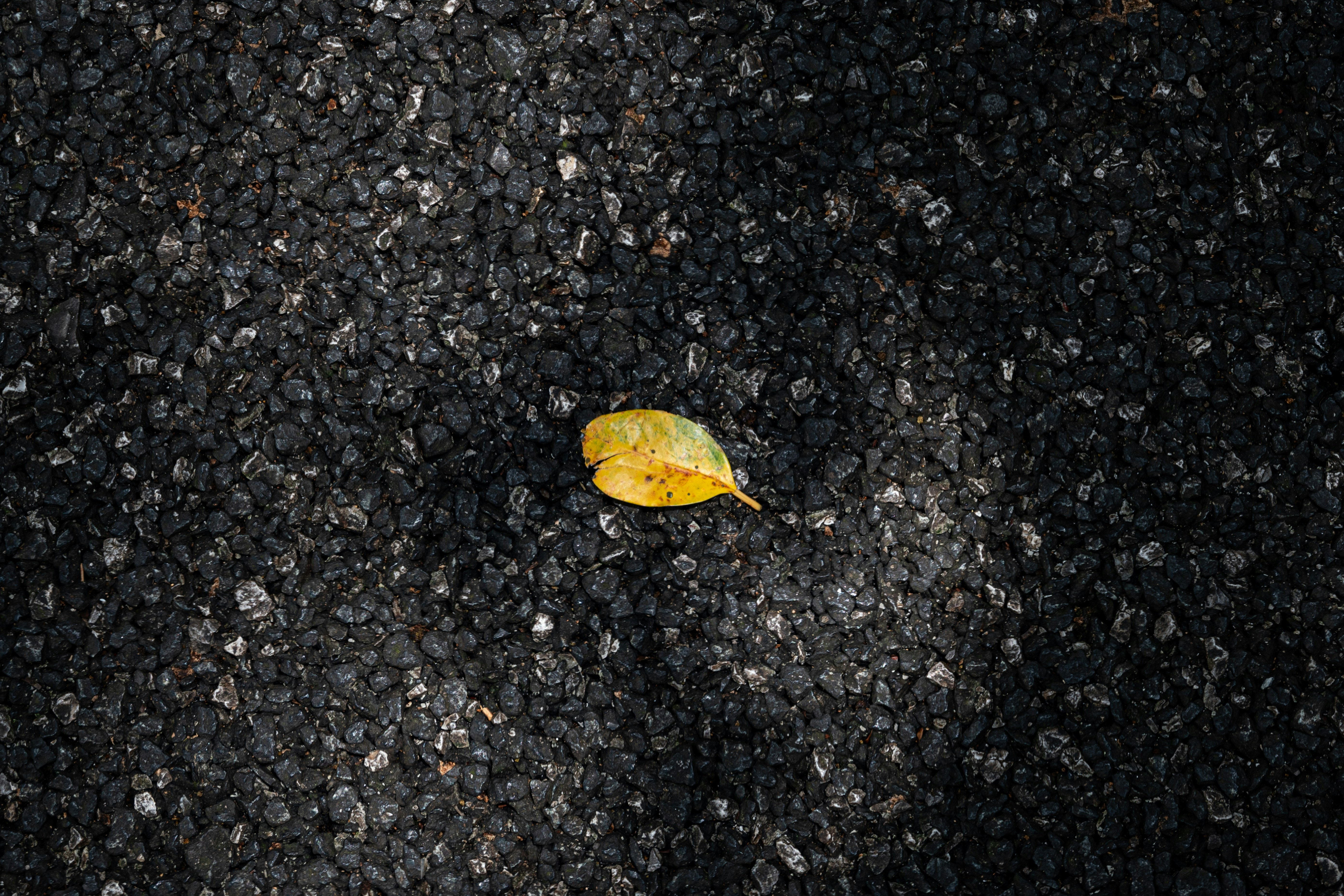 Photo by mightycommander