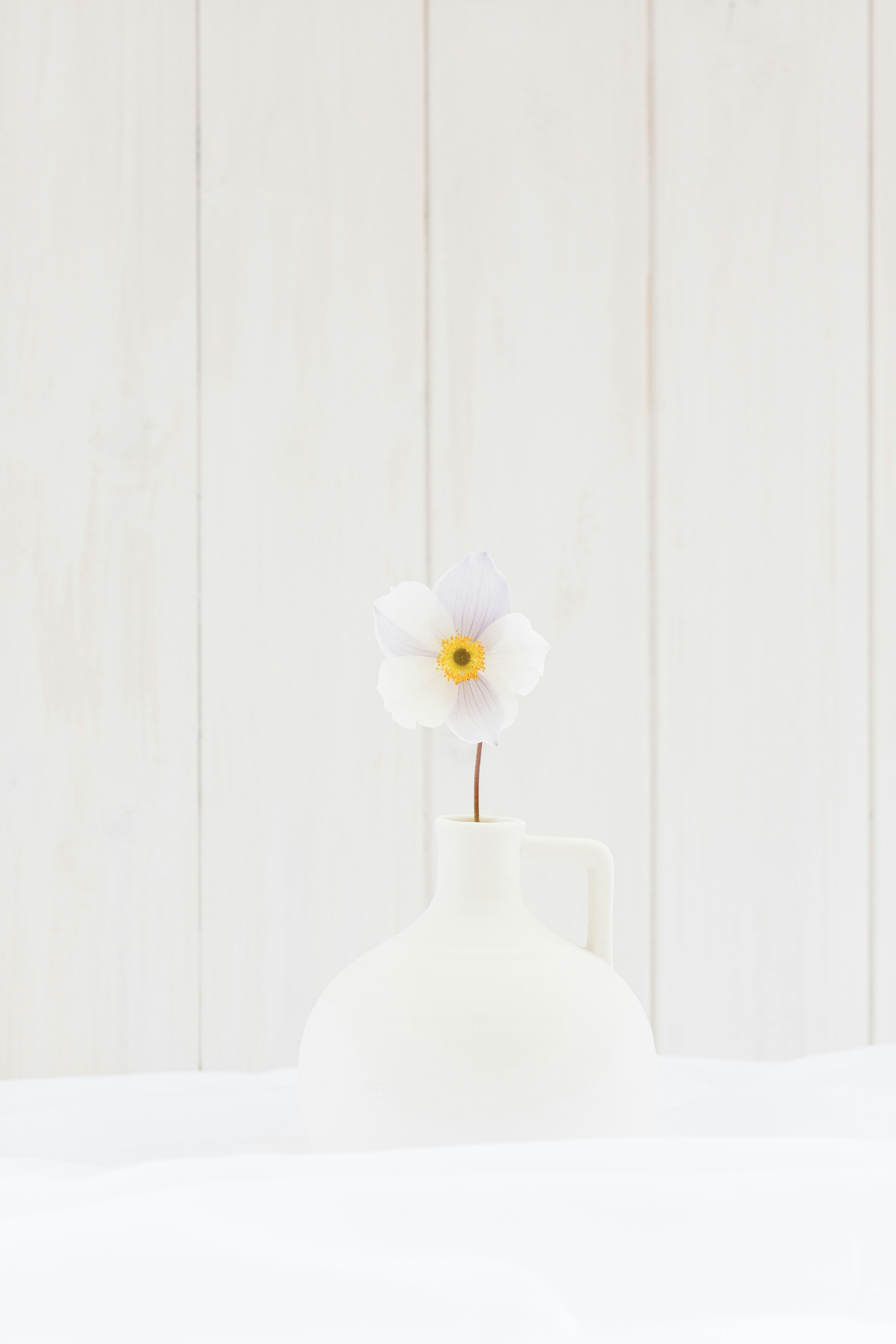 白い花が入った白い花瓶の写真 – Unsplashの花の無料画像