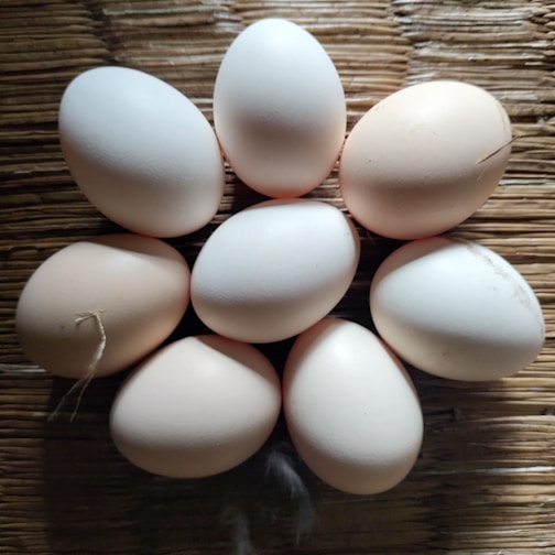 a bunch of eggs sitting on top of a table