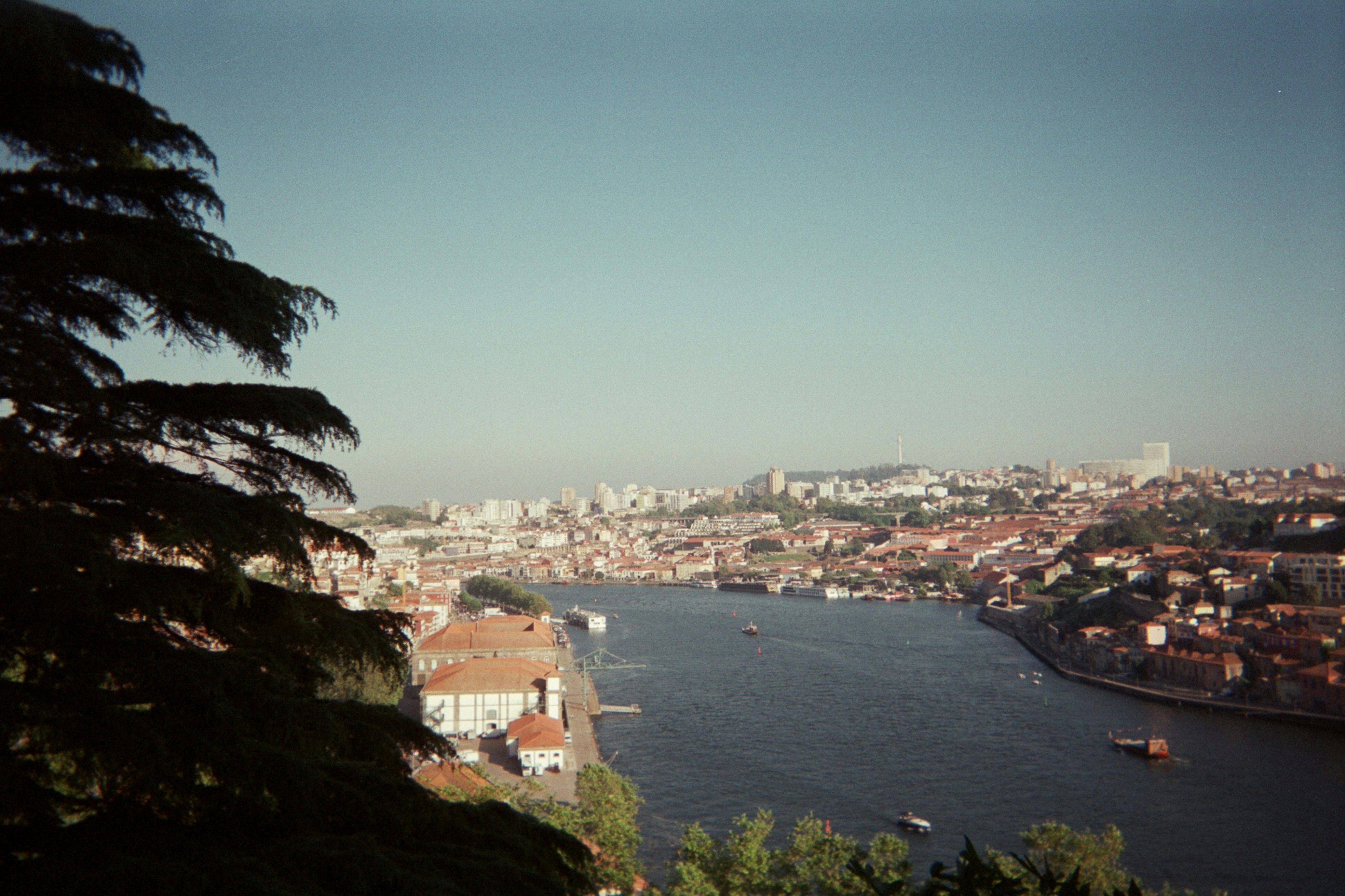 a river running through a city next to a forest