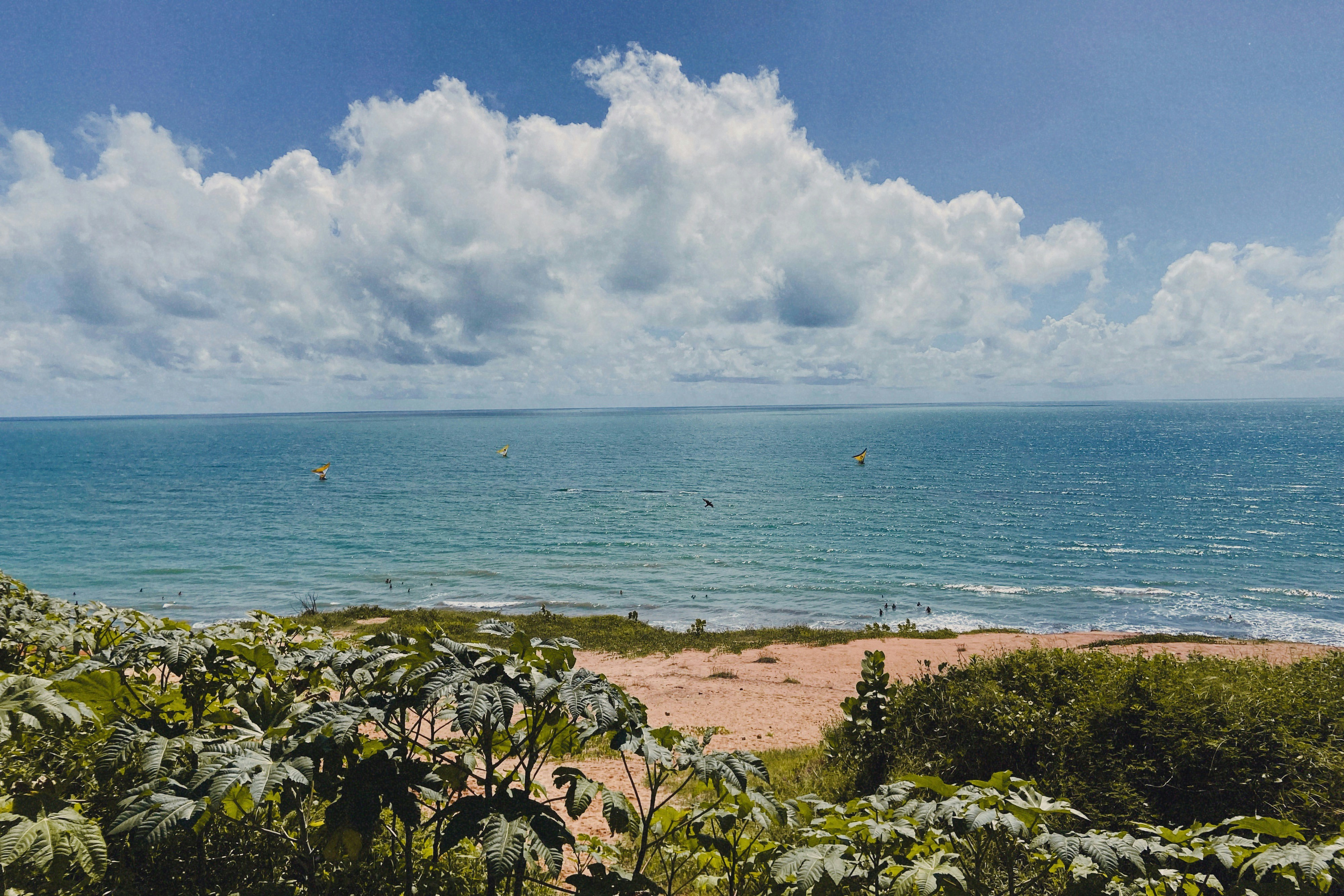 Photo by auzenirmonteiro