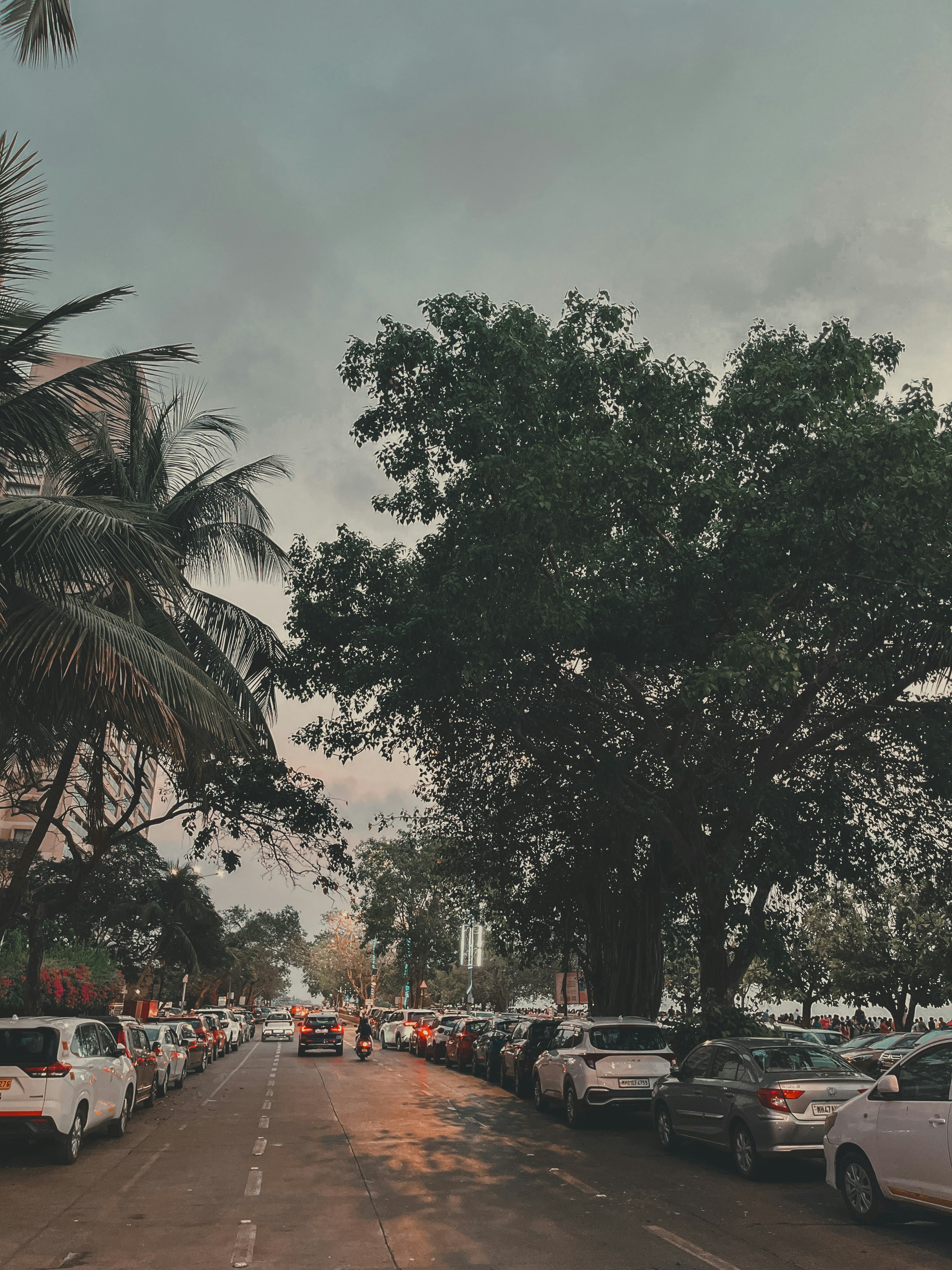 Photo by atishdb